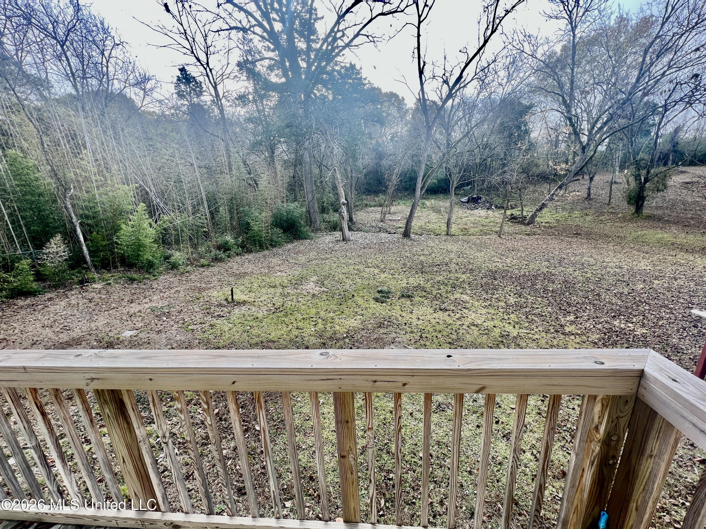 519 W Highway 82 Property Photo 18