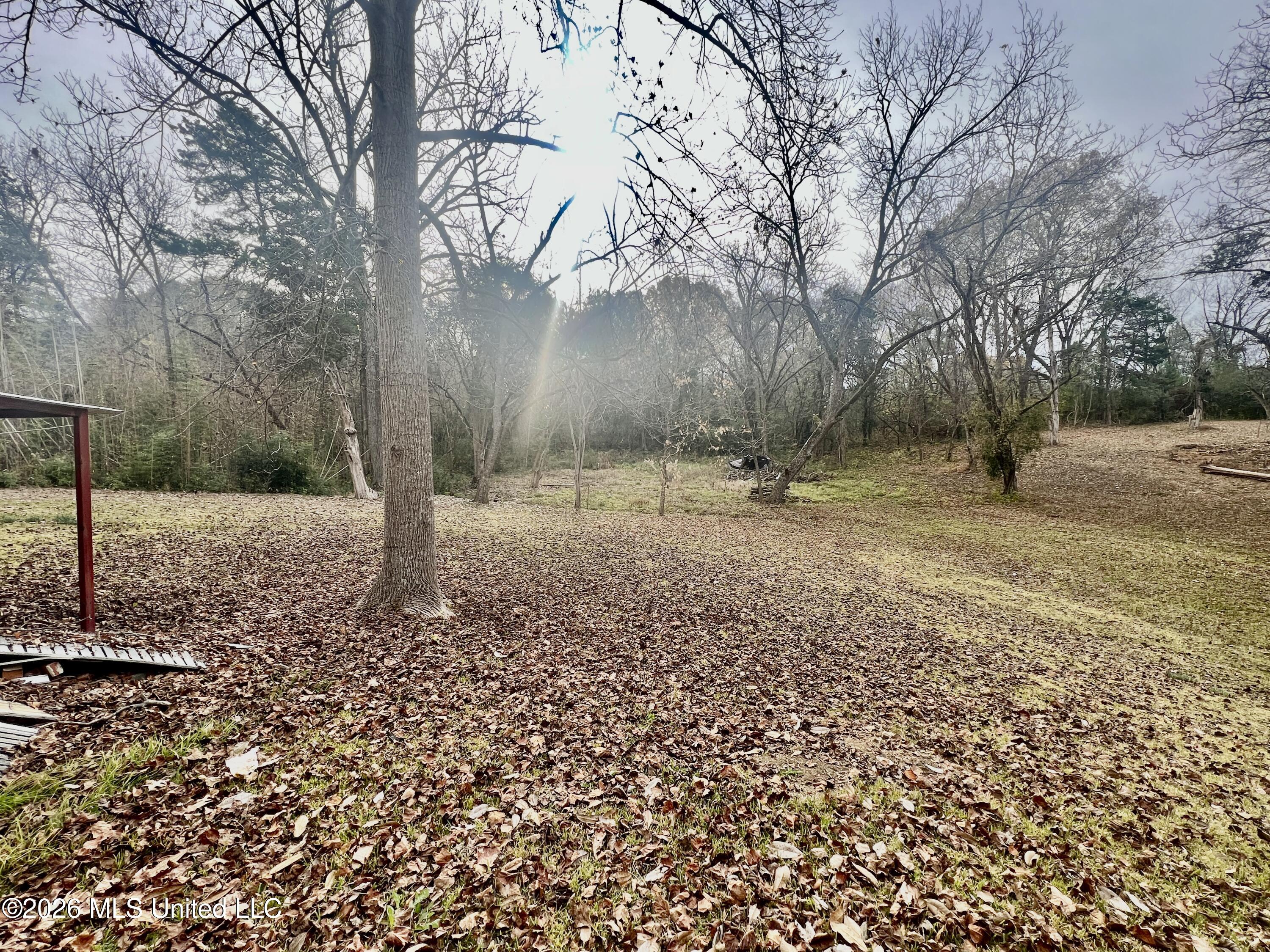 519 W Highway 82 Property Photo 23