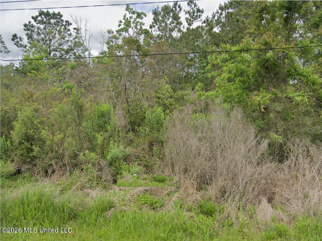 10051 W Bayou View Drive Property Photo 1