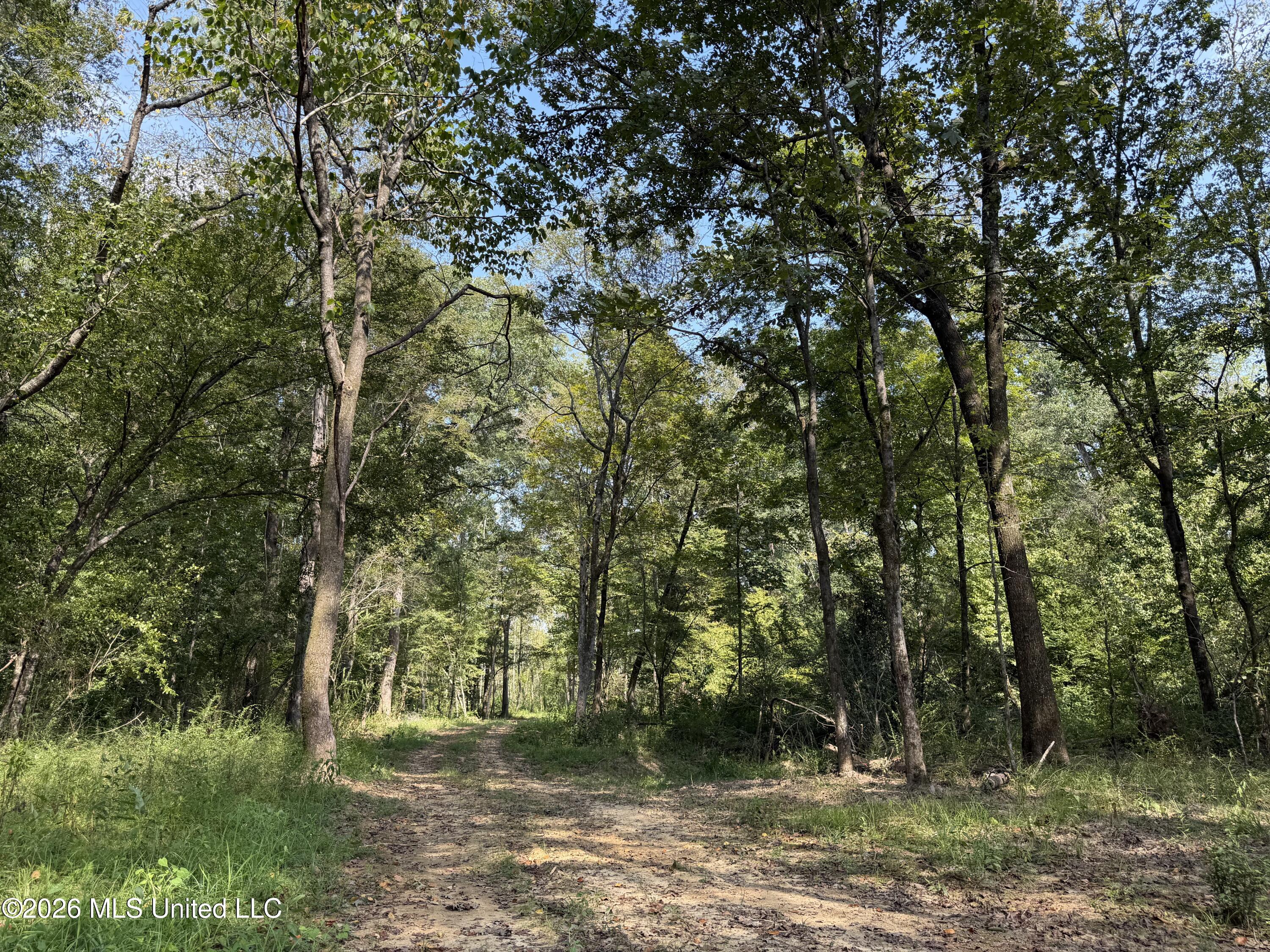 Potluck Road Property Photo 2