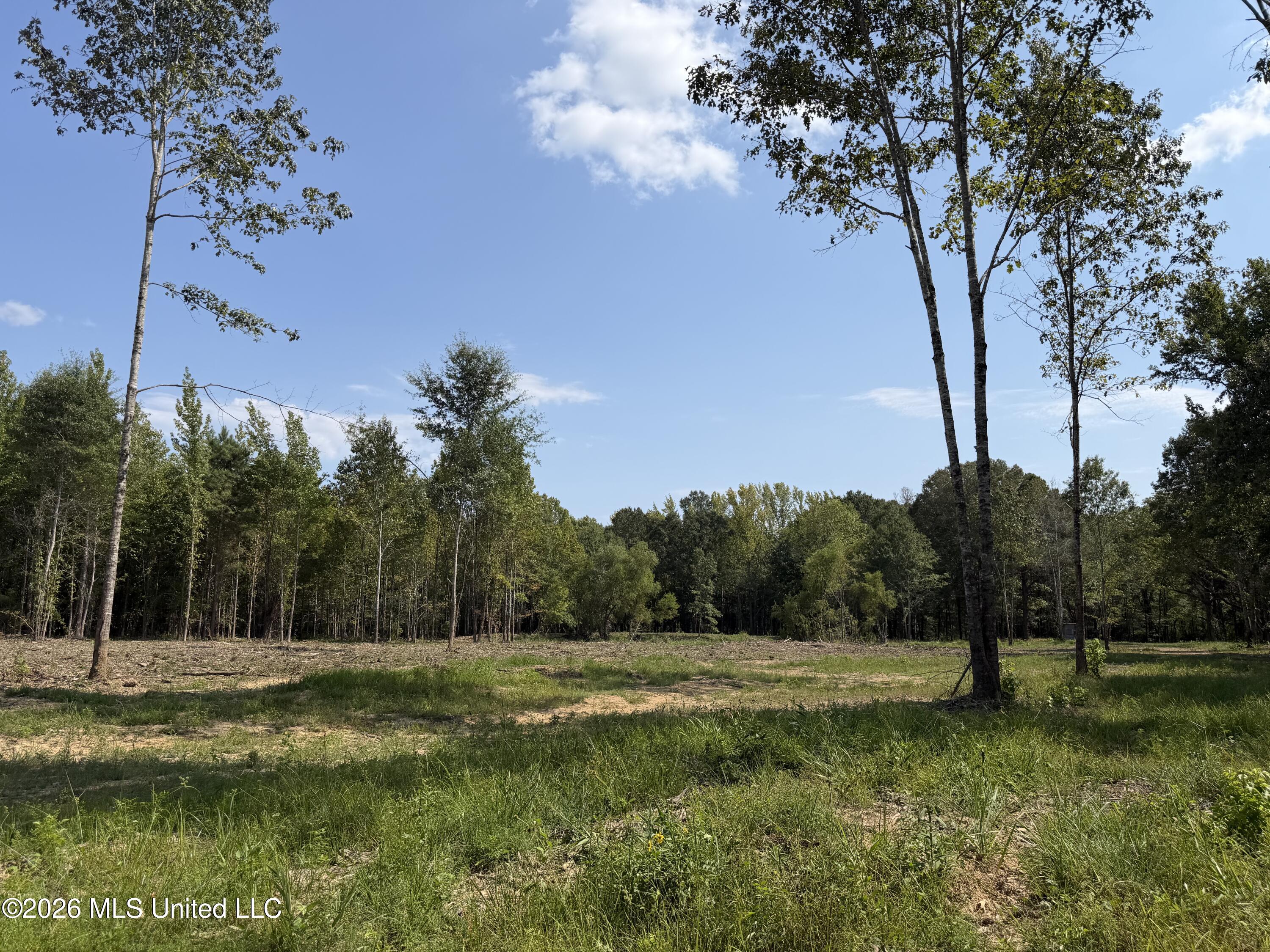 Potluck Road Property Photo 4
