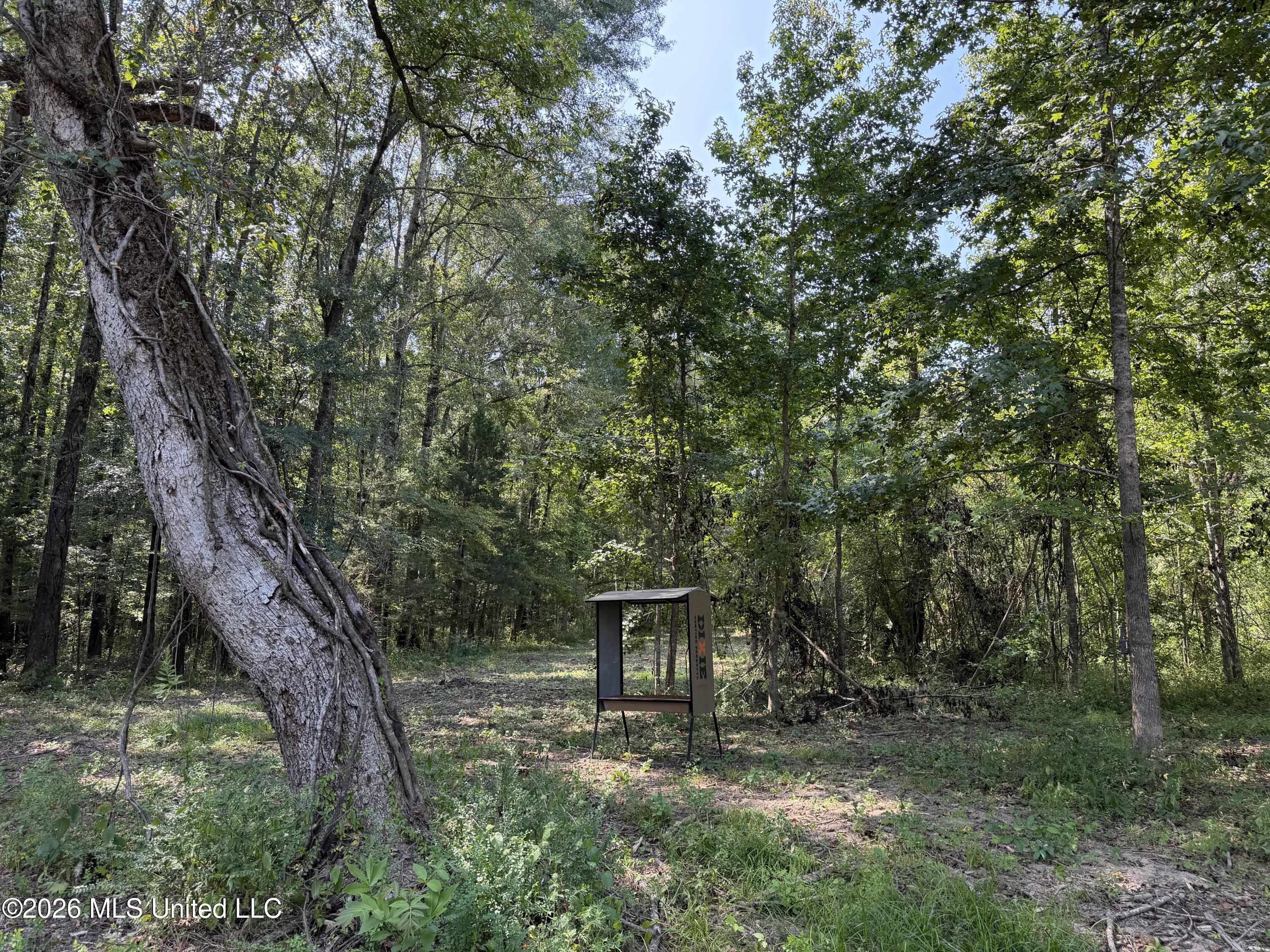 Potluck Road Property Photo 6