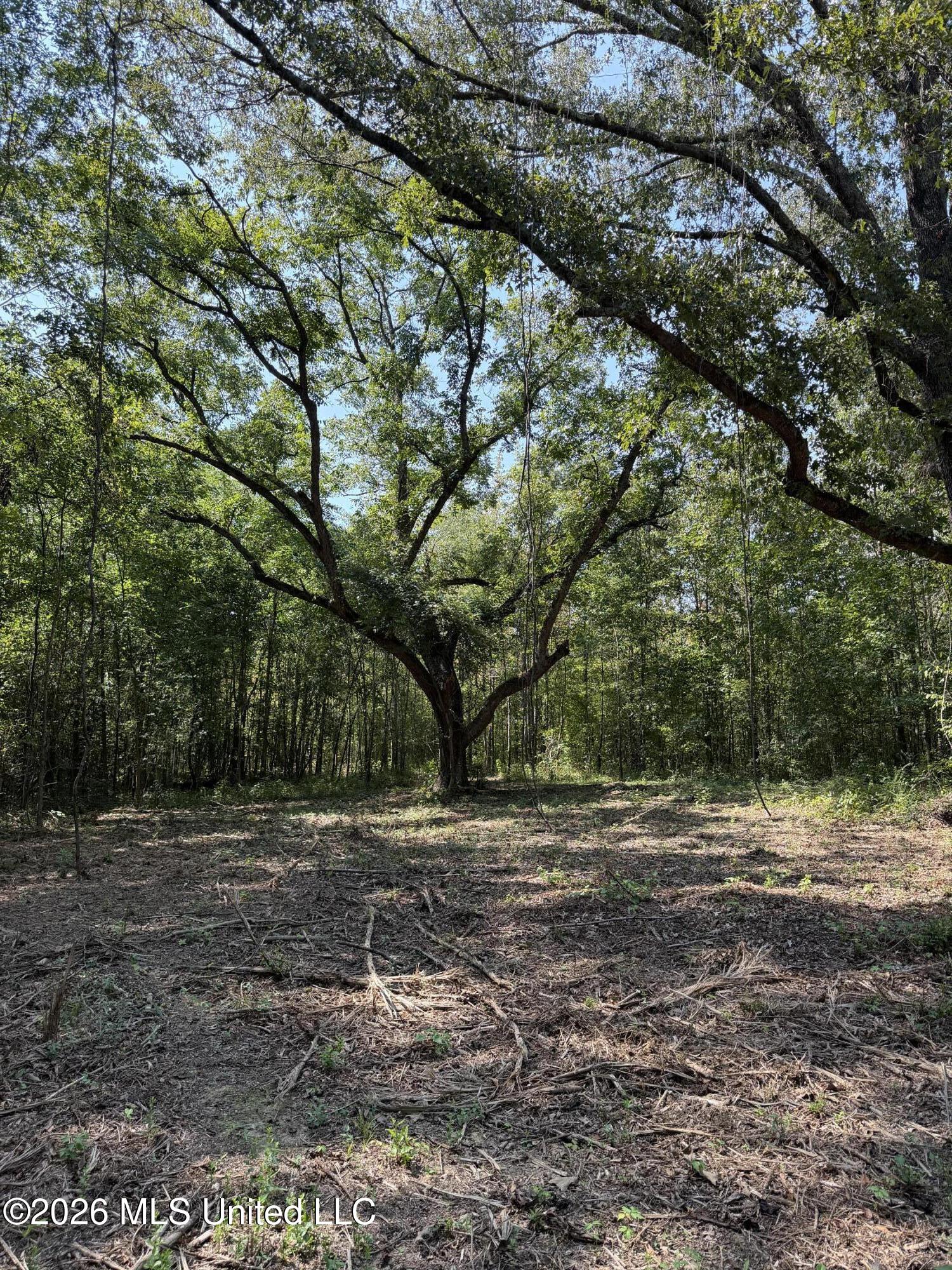 Potluck Road Property Photo 8