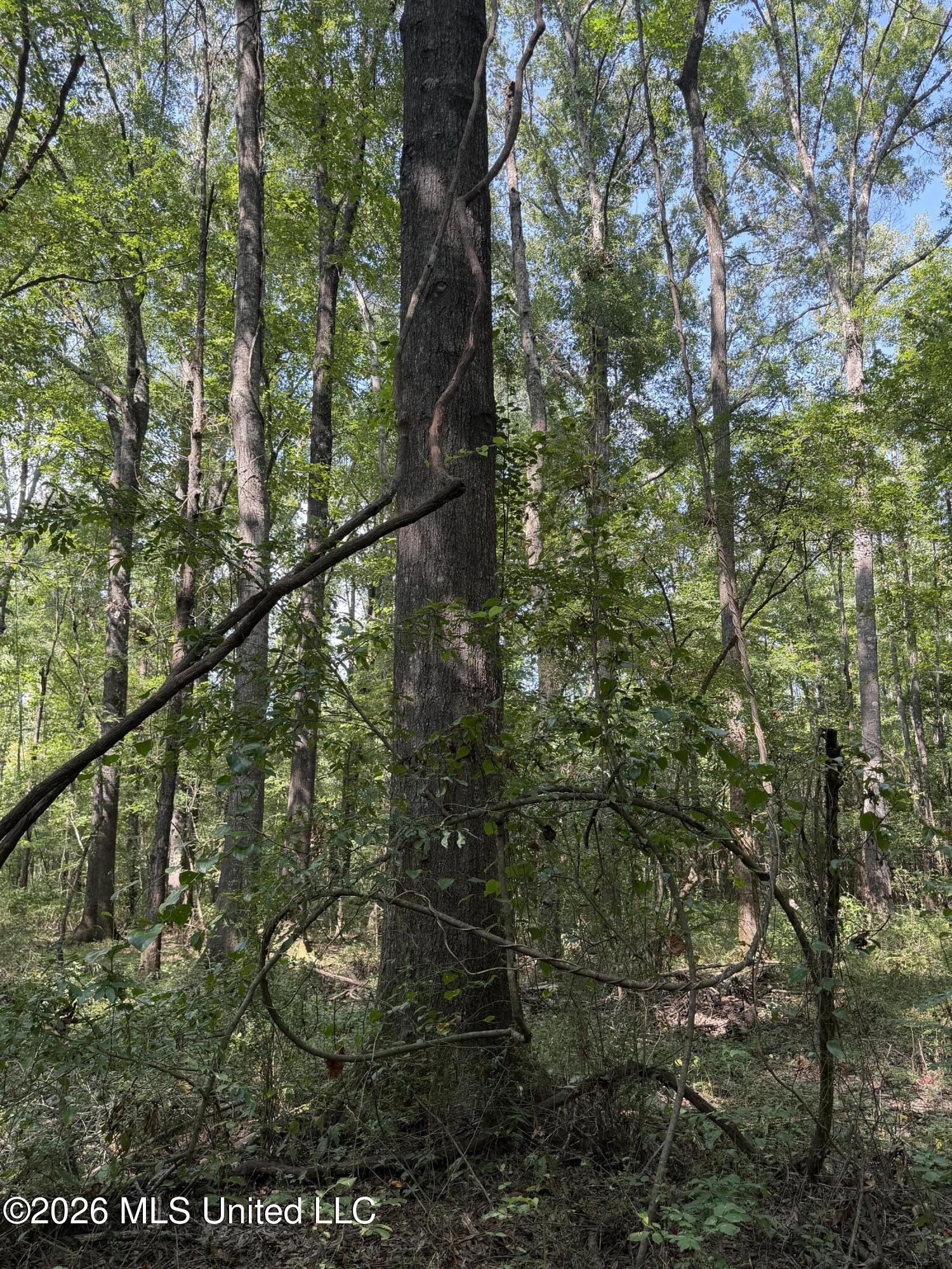 Potluck Road Property Photo 12