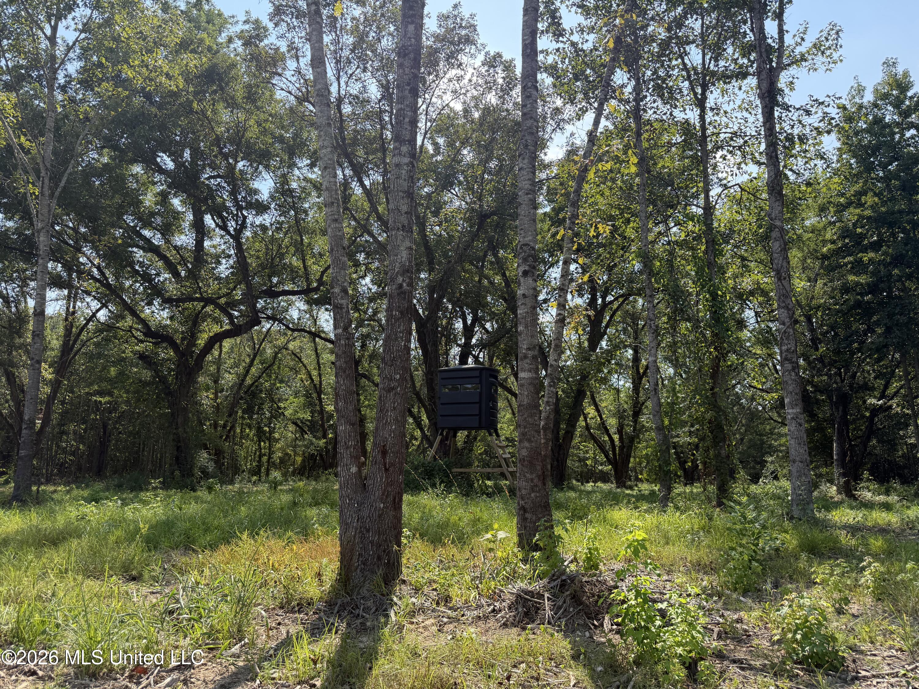 Potluck Road Property Photo 13