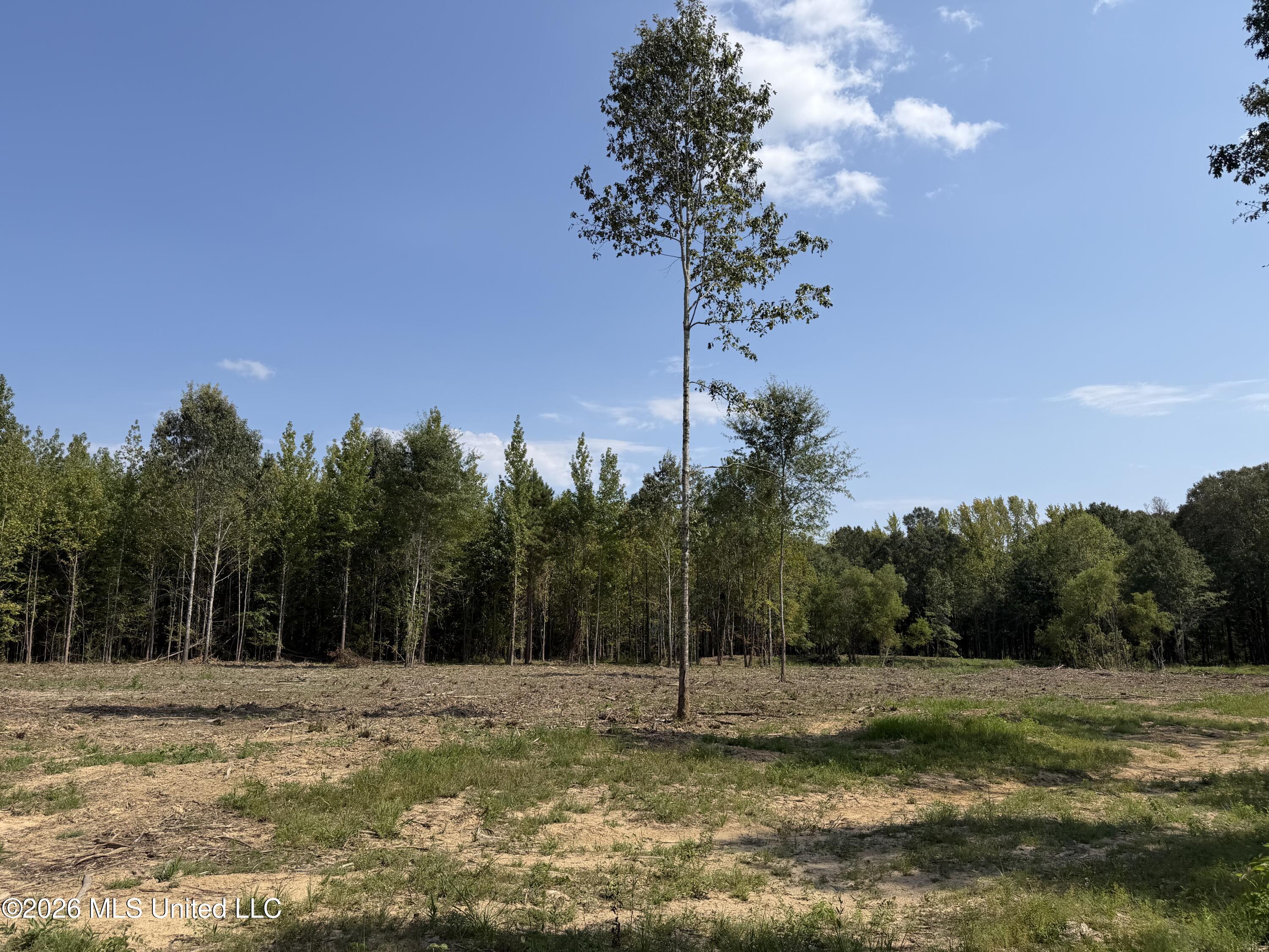 Potluck Road Property Photo 14