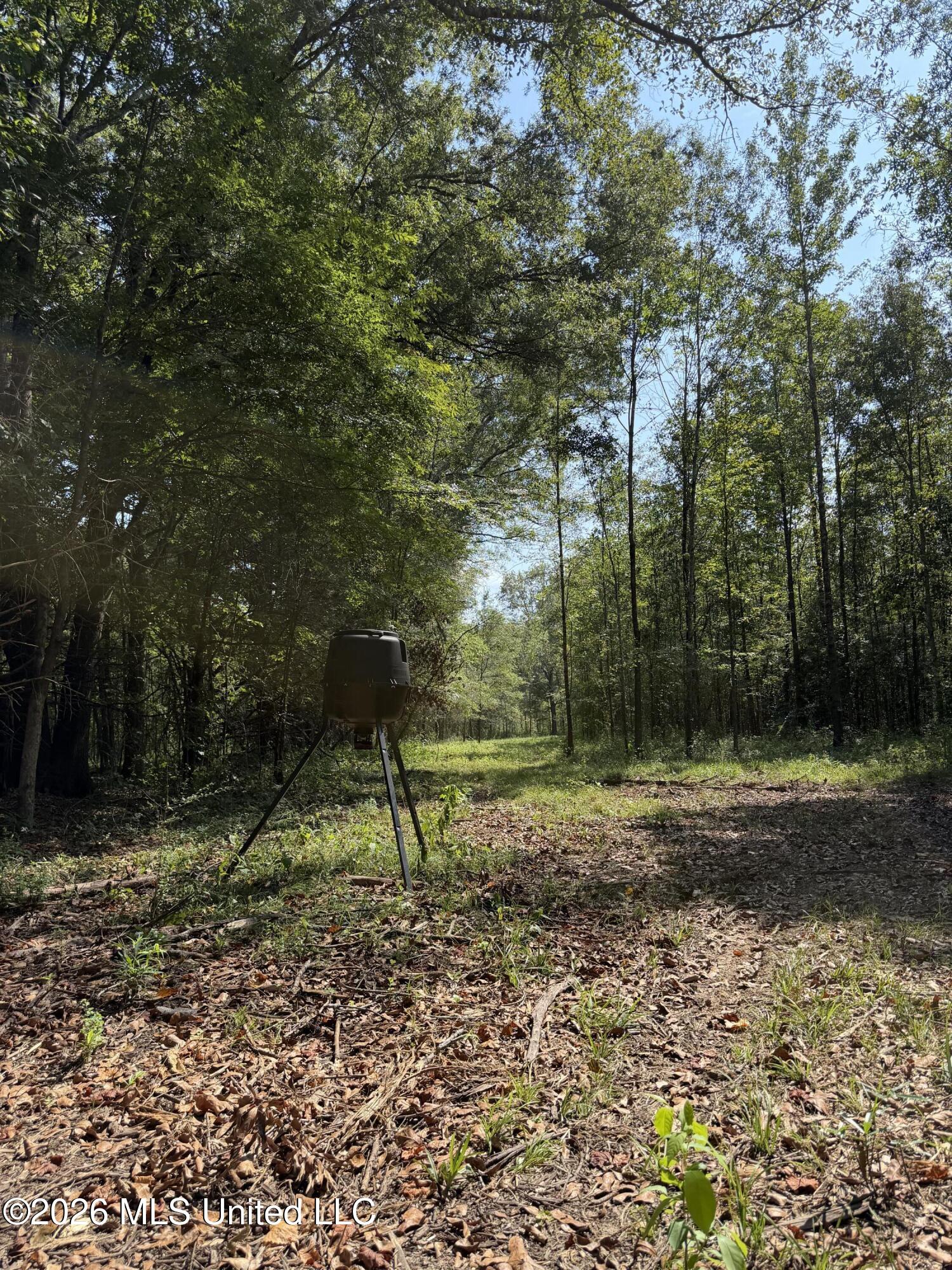 Potluck Road Property Photo 15