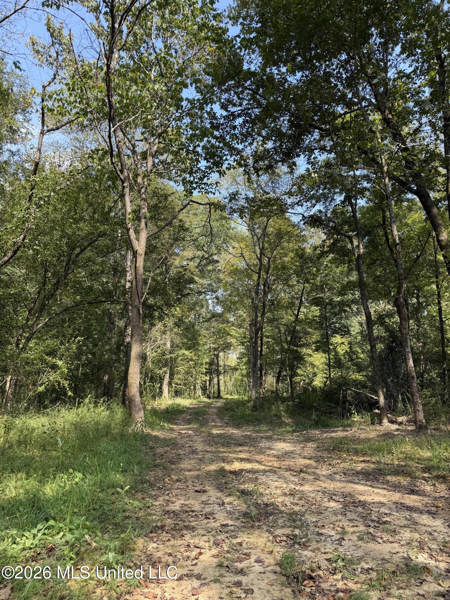 Potluck Road Property Photo 16