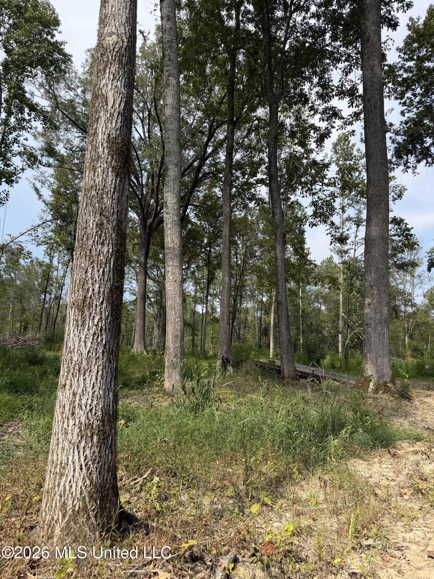 Potluck Road Property Photo 17