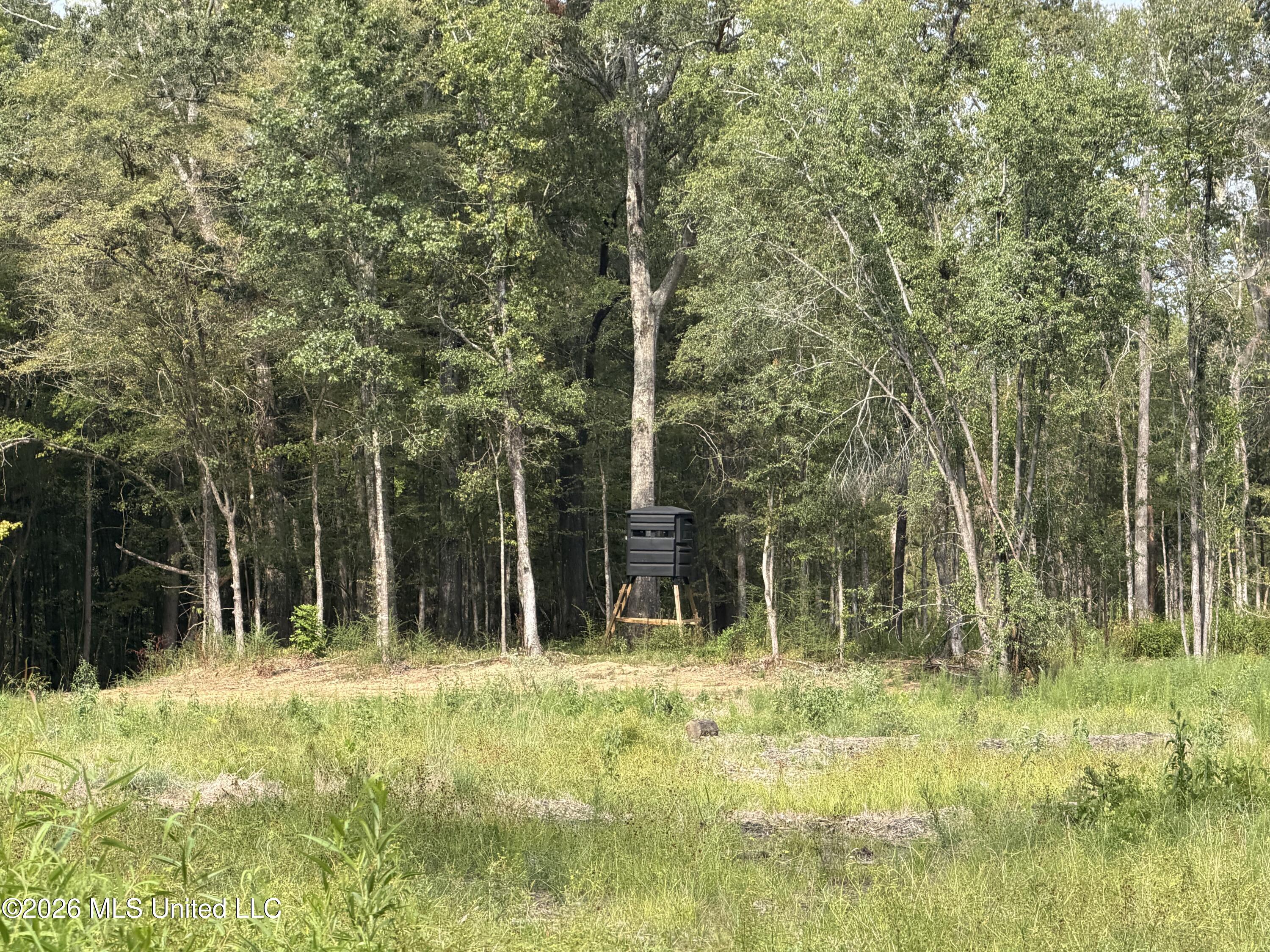 Potluck Road Property Photo 18