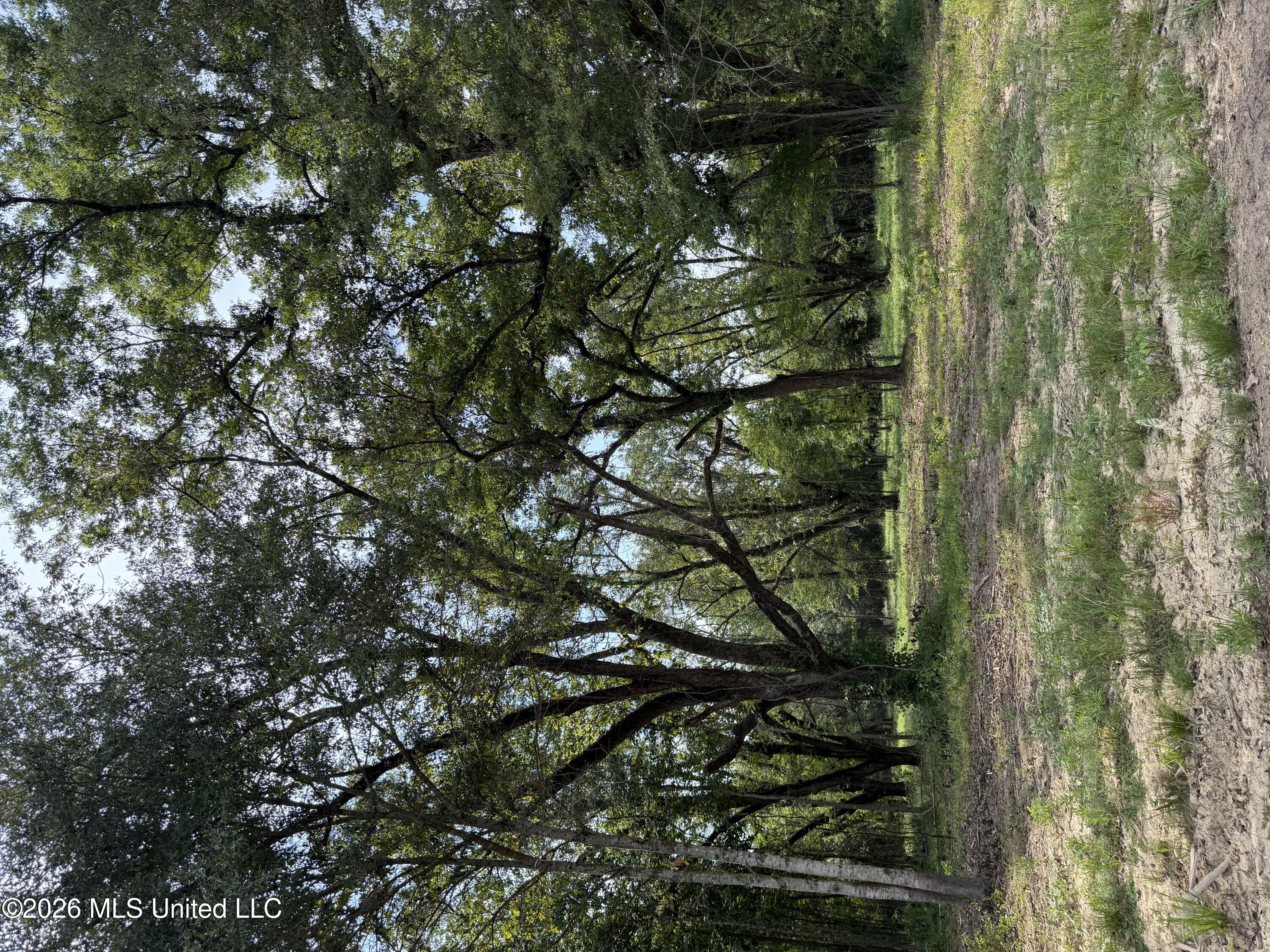 Potluck Road Property Photo 20