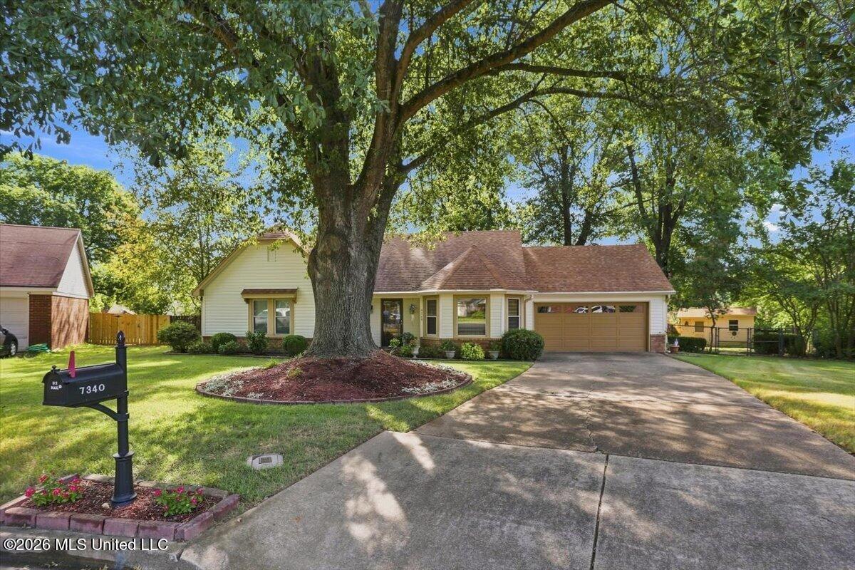 7340 Cedardale Cove Property Photo 4
