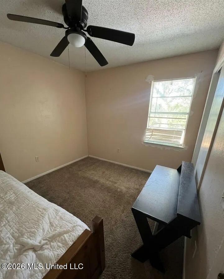 916 E Birch Drive Property Photo 10