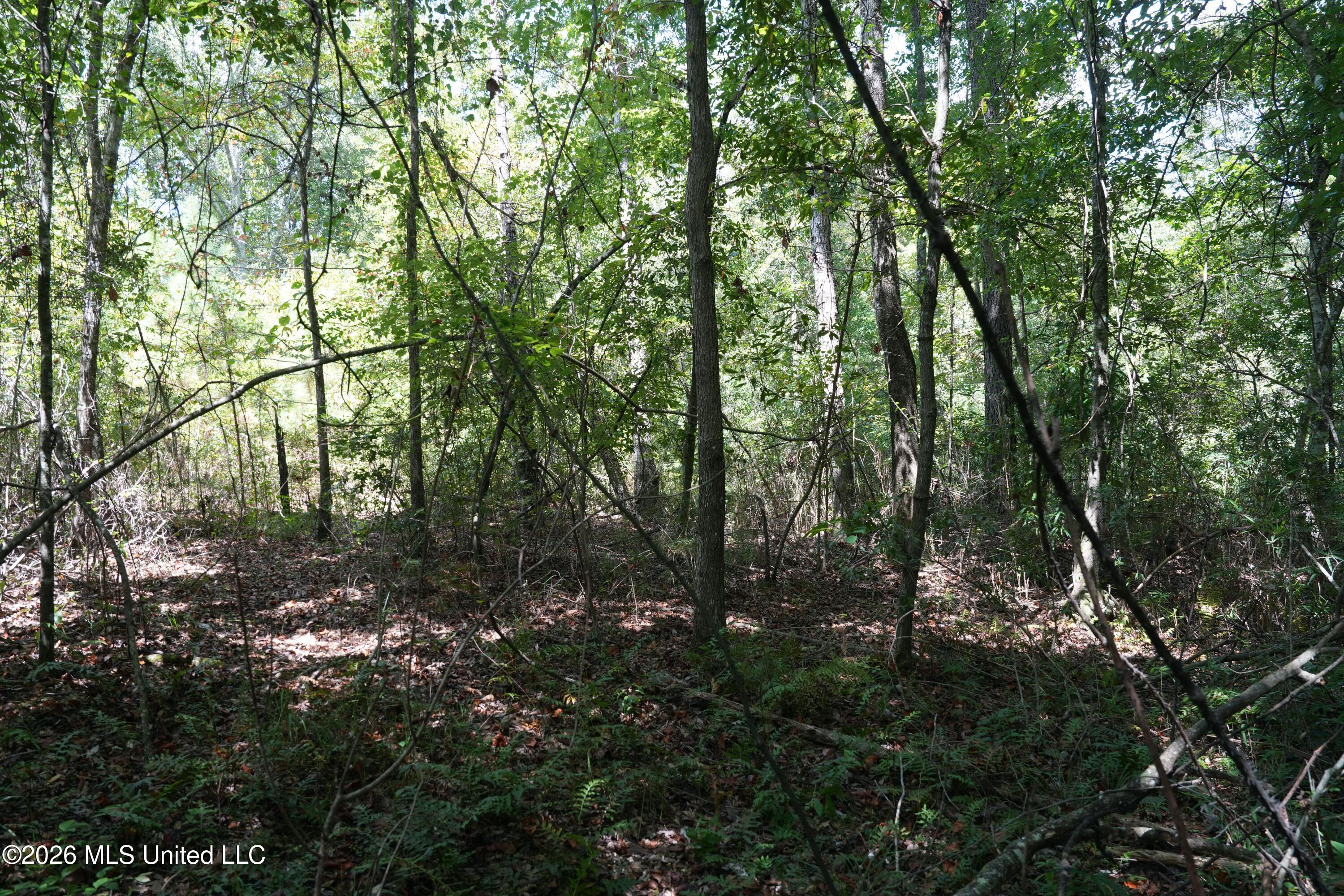 Joe Booth Road Property Photo 2