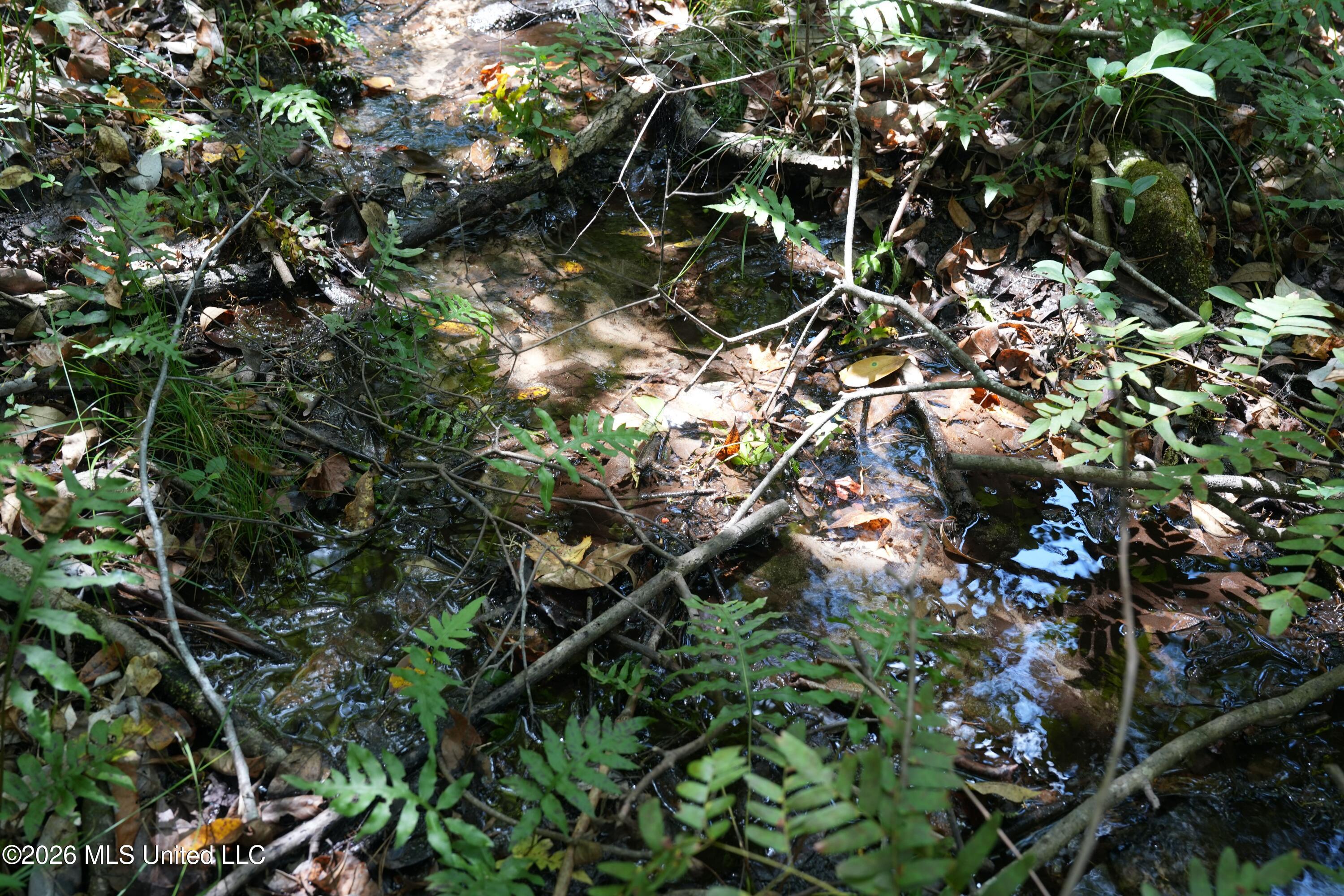 Joe Booth Road Property Photo 3