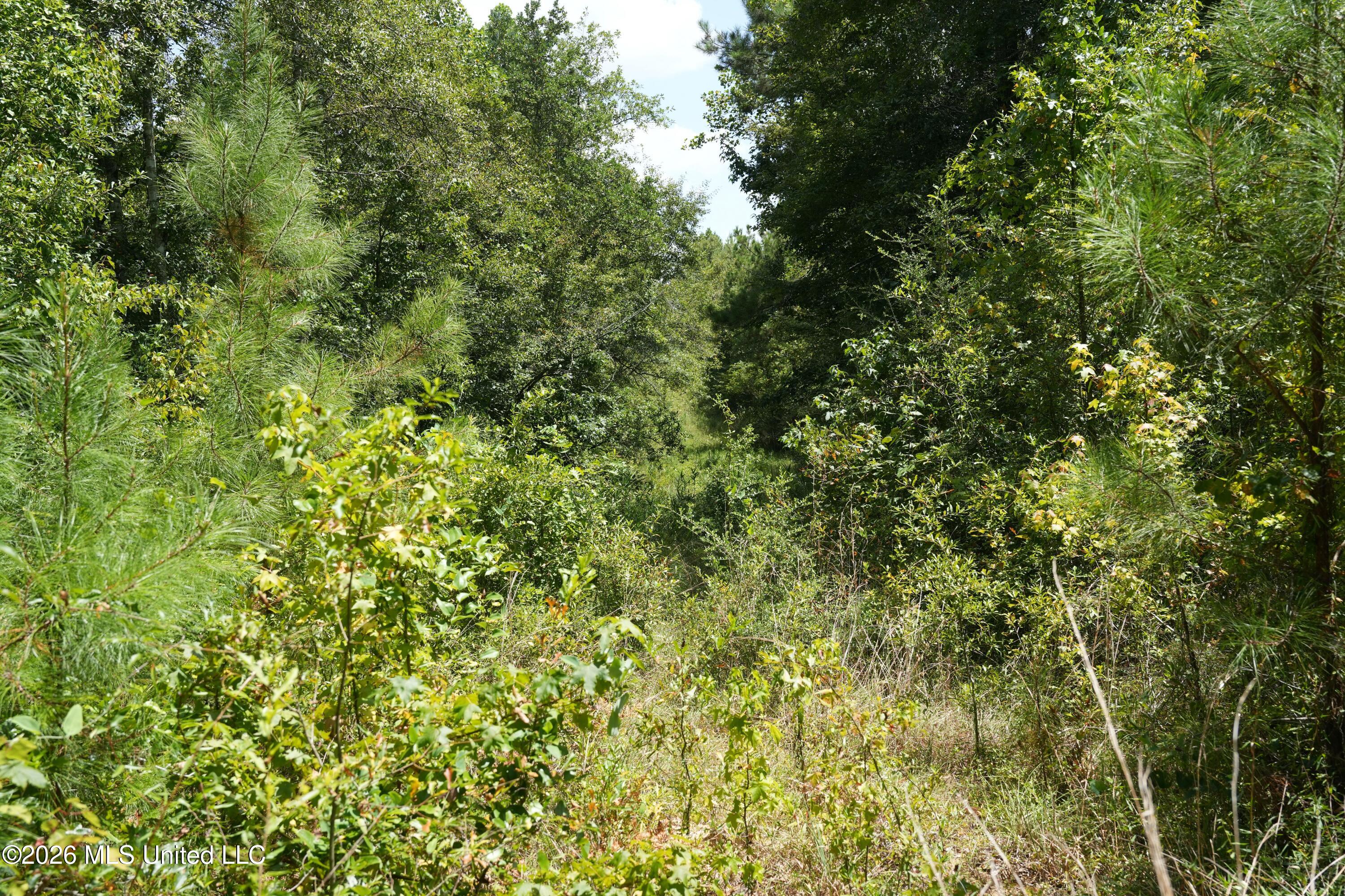 Joe Booth Road Property Photo 5