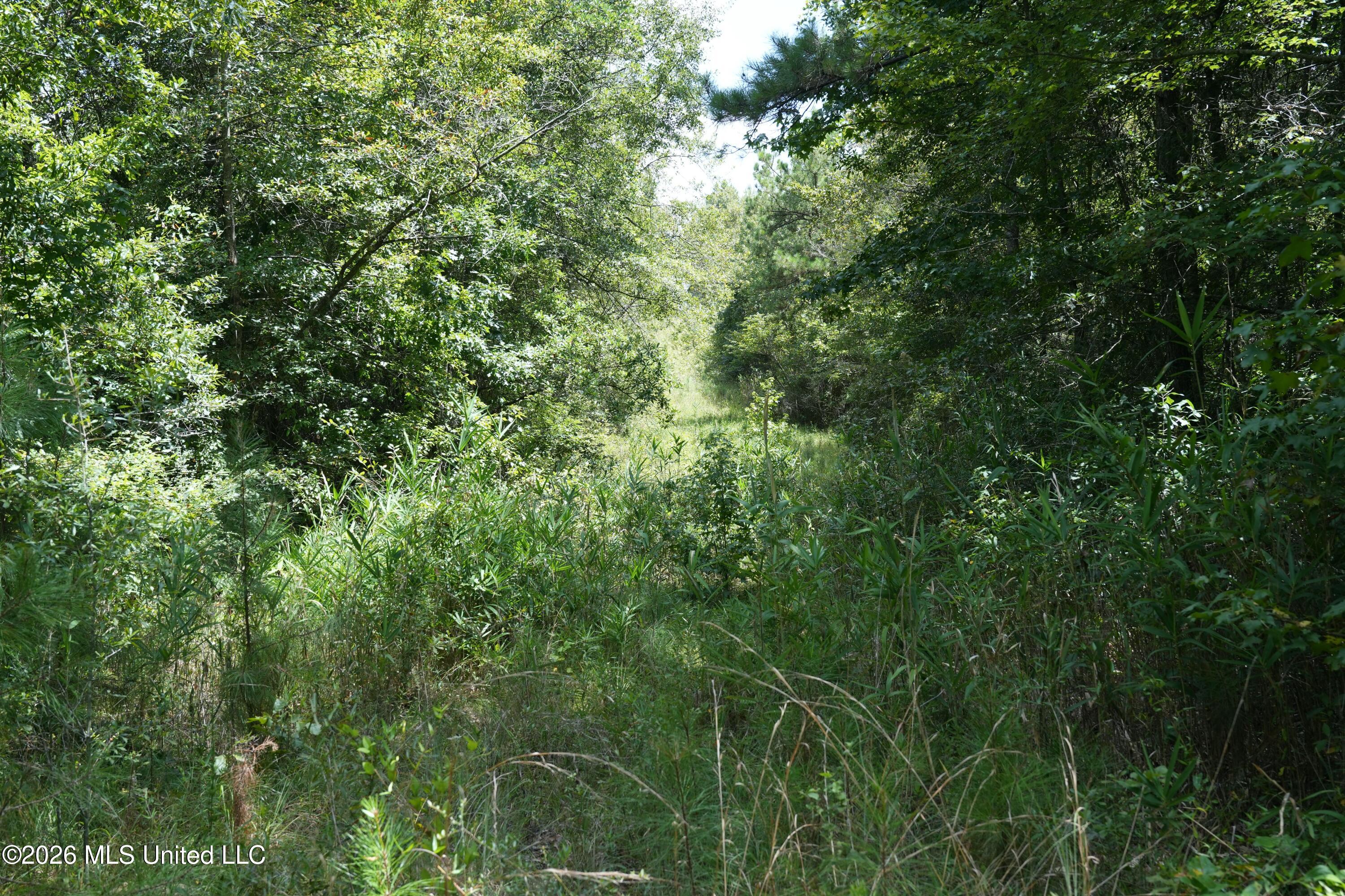 Joe Booth Road Property Photo 6