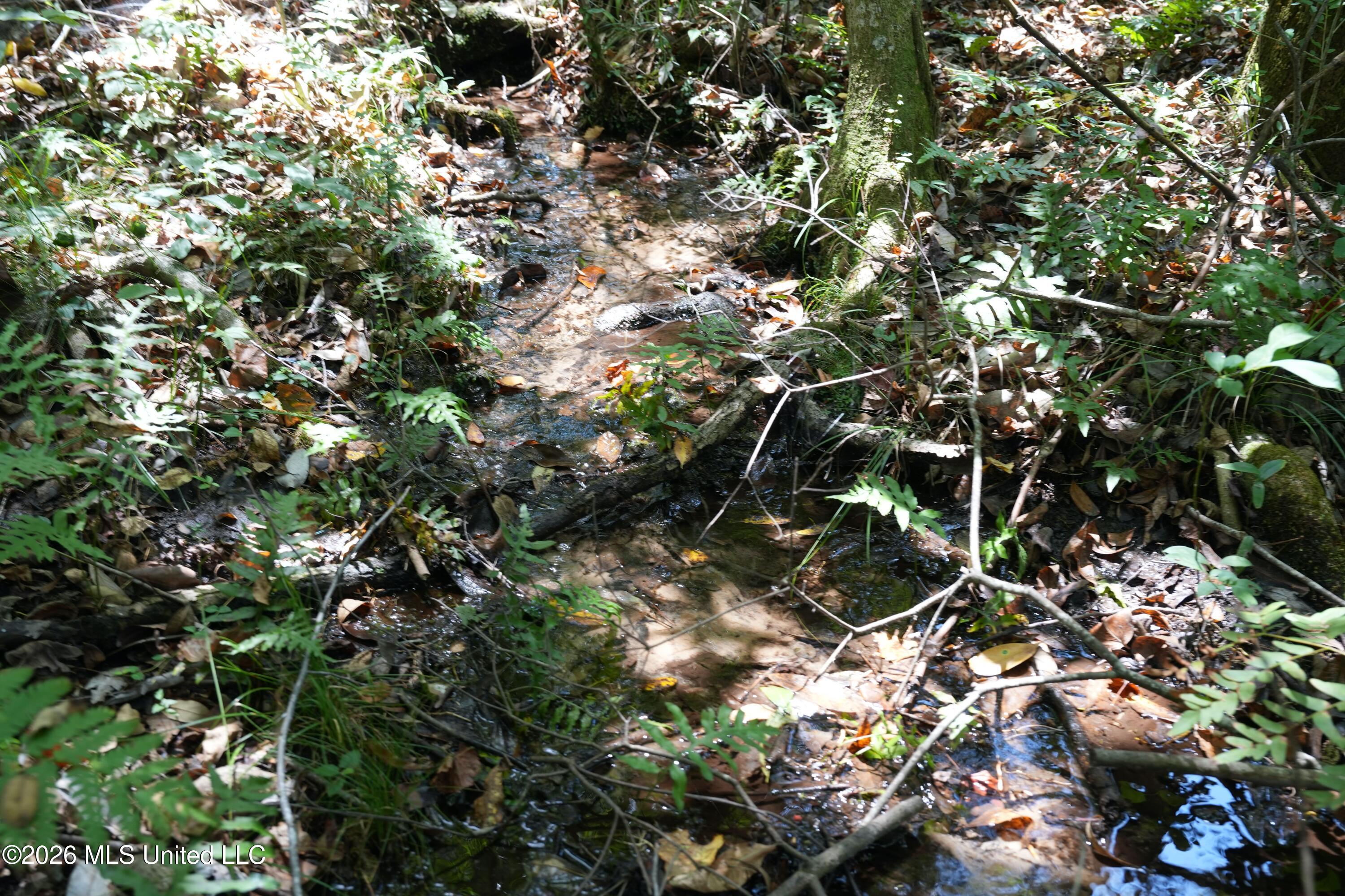 Joe Booth Road Property Photo 7