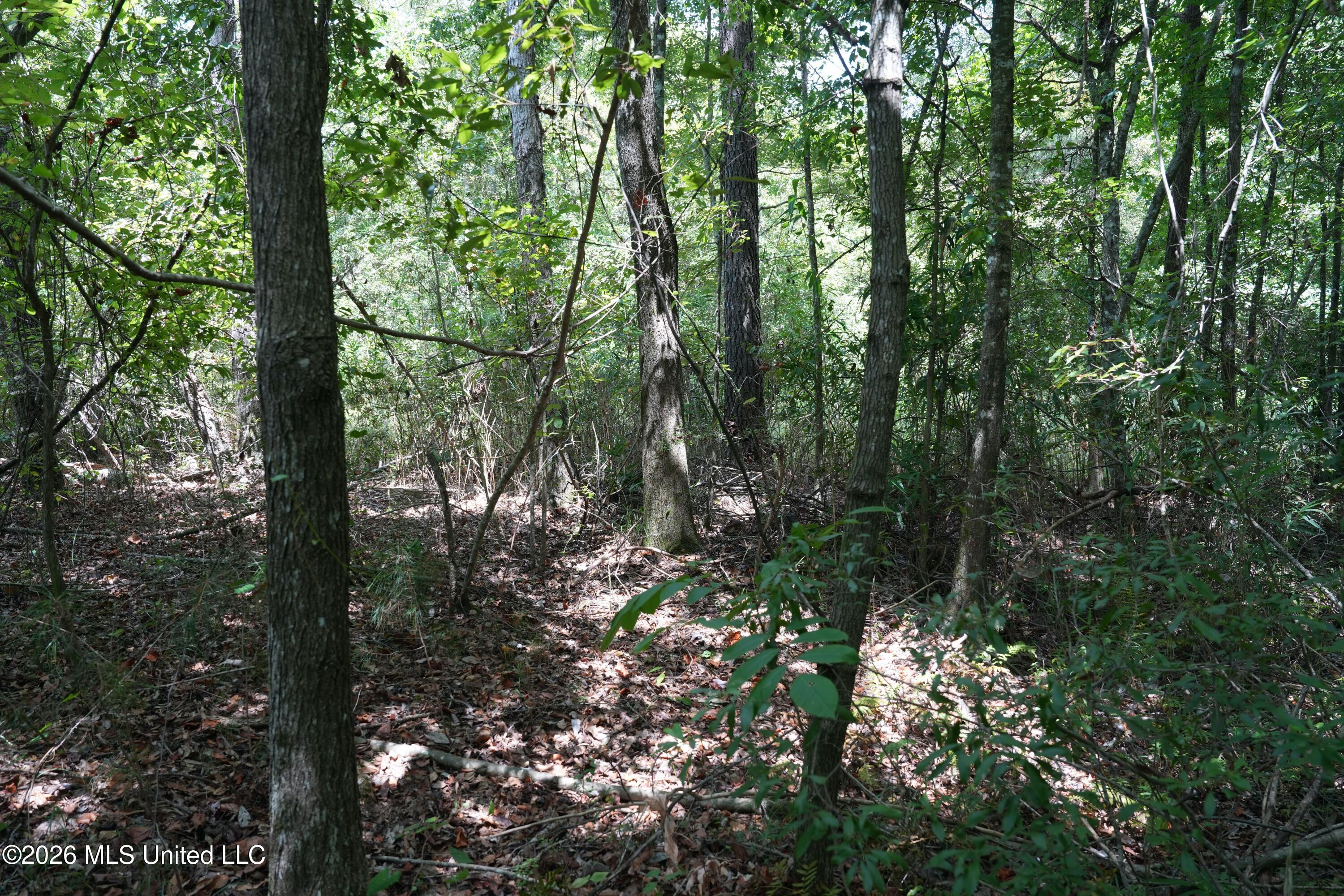 Joe Booth Road Property Photo 9