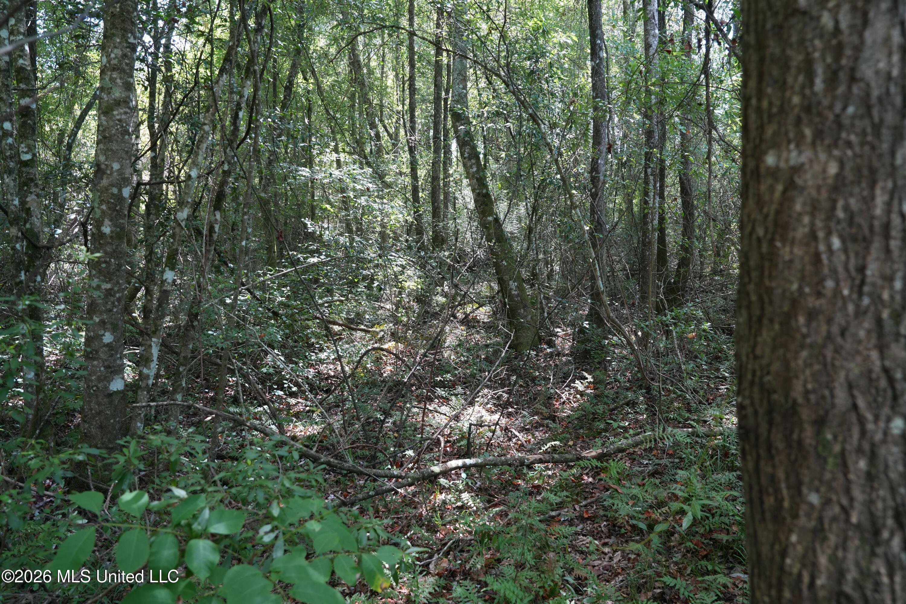 Joe Booth Road Property Photo 10