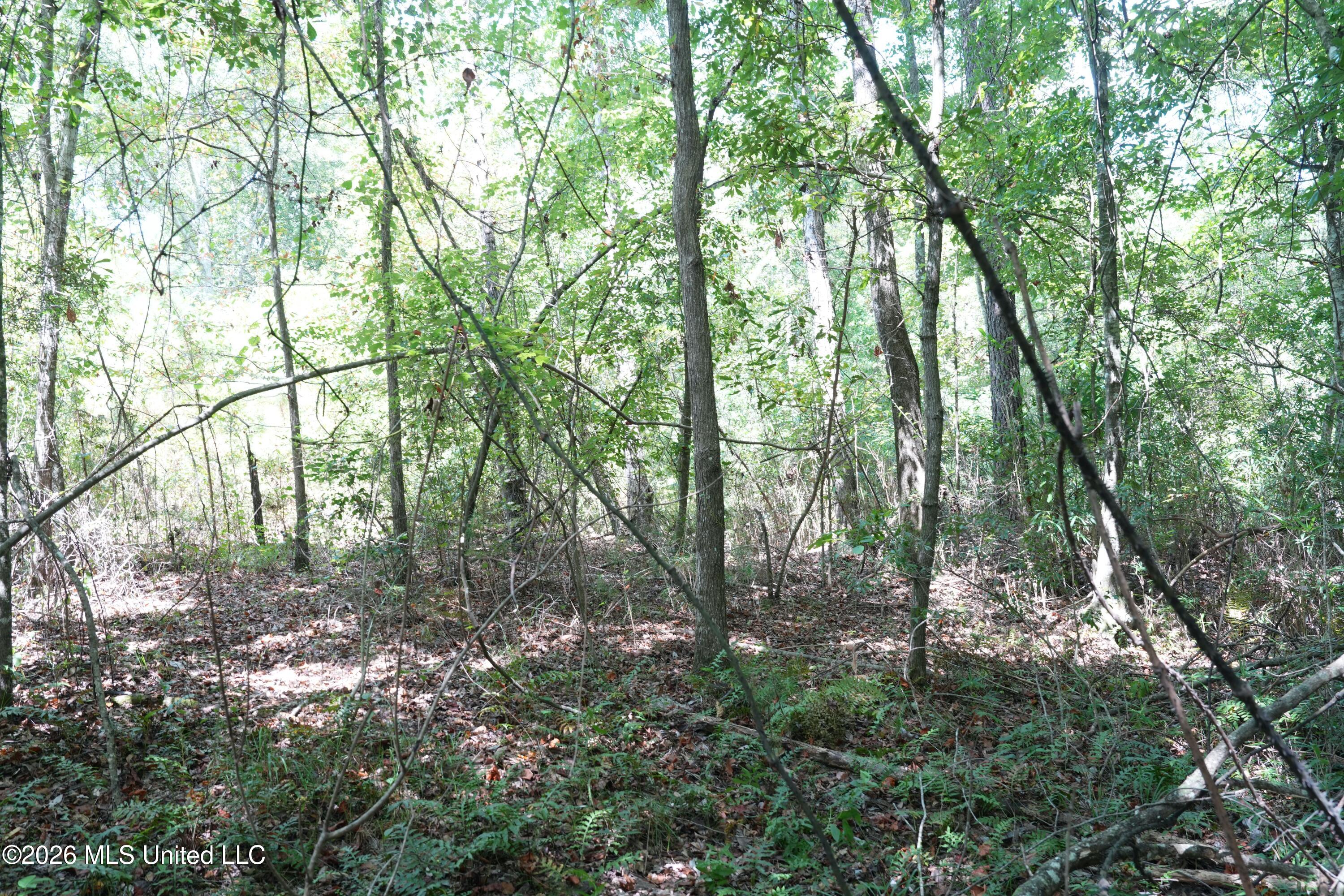 Joe Booth Road Property Photo 11