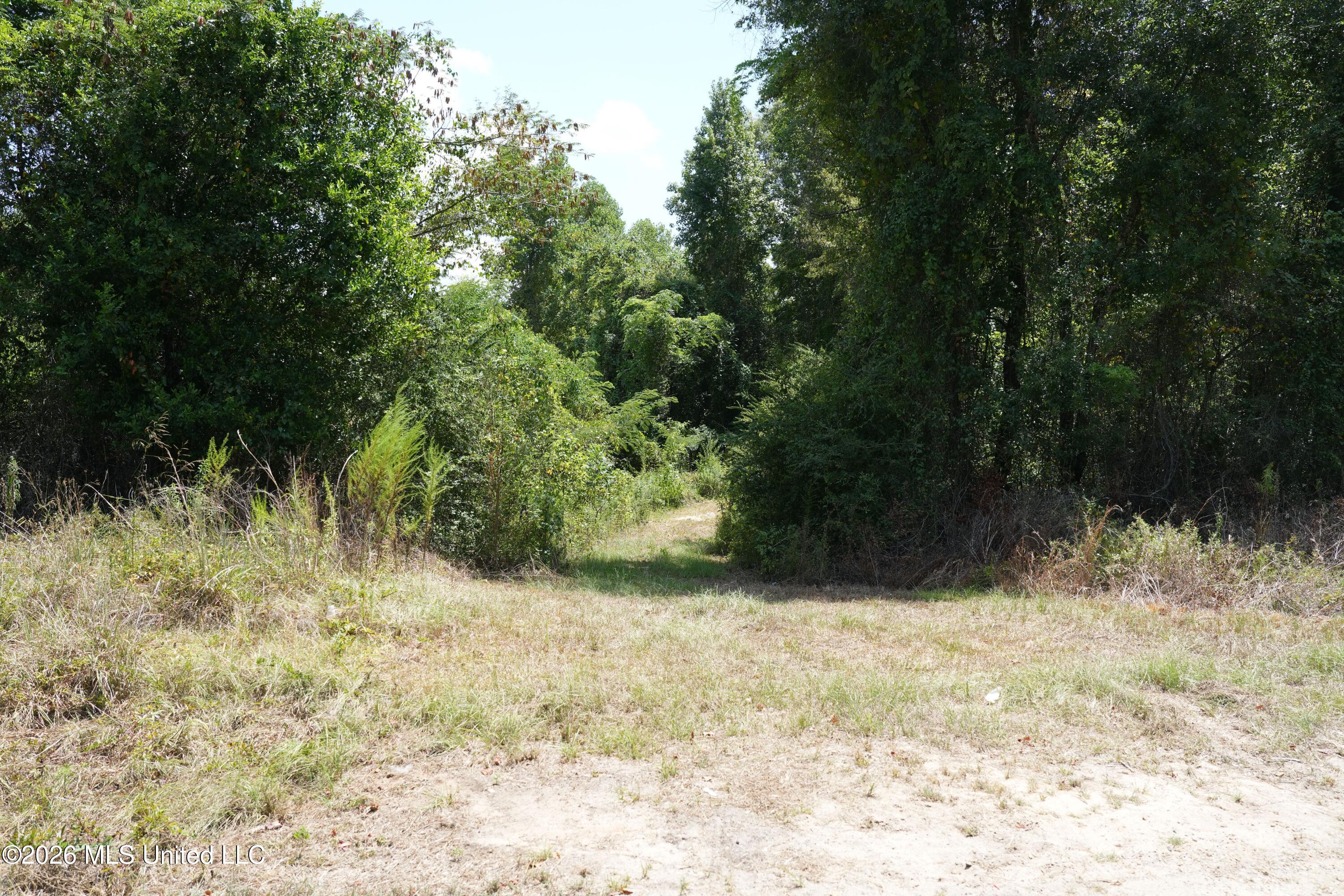 Joe Booth Road Property Photo 12