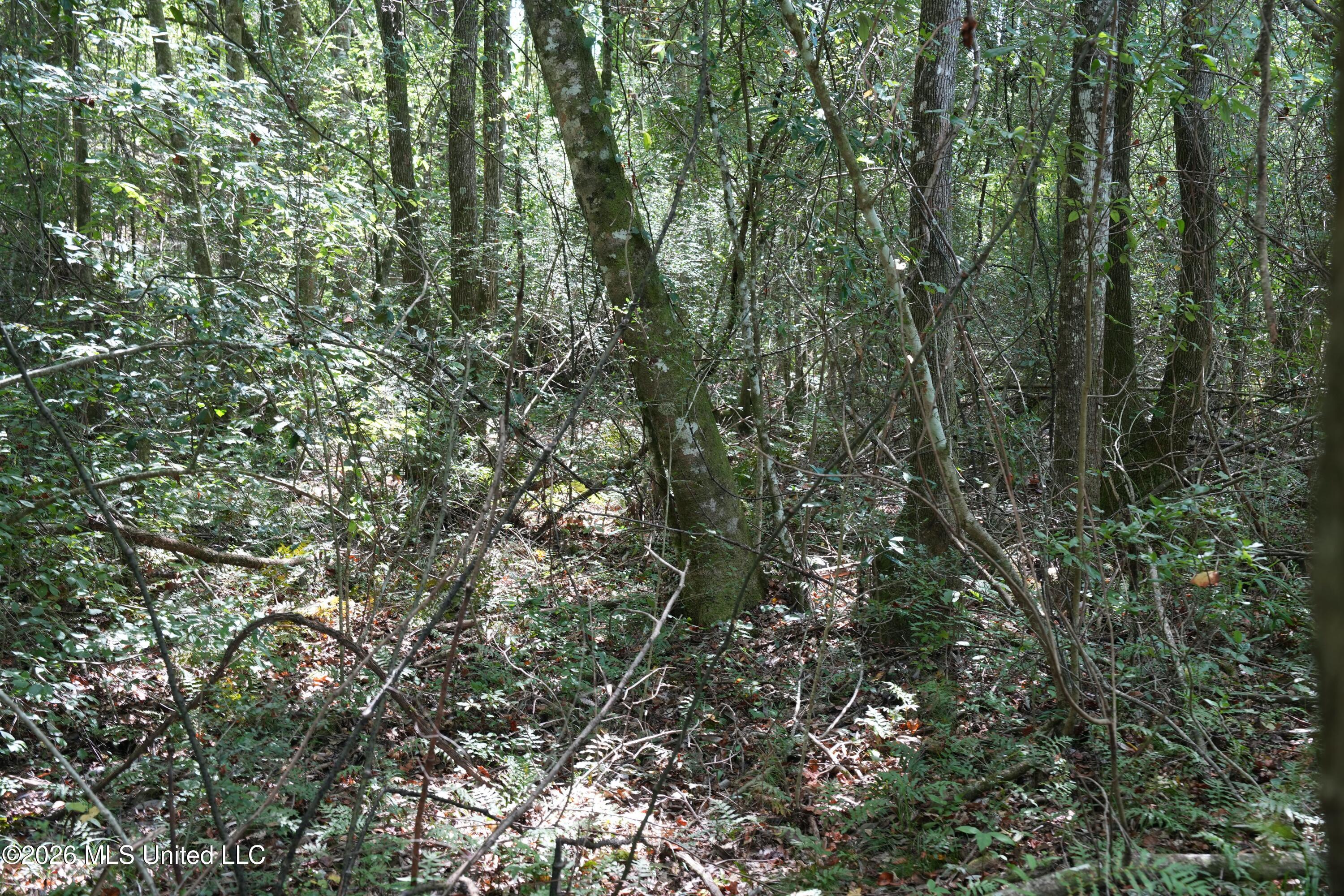 Joe Booth Road Property Photo 13