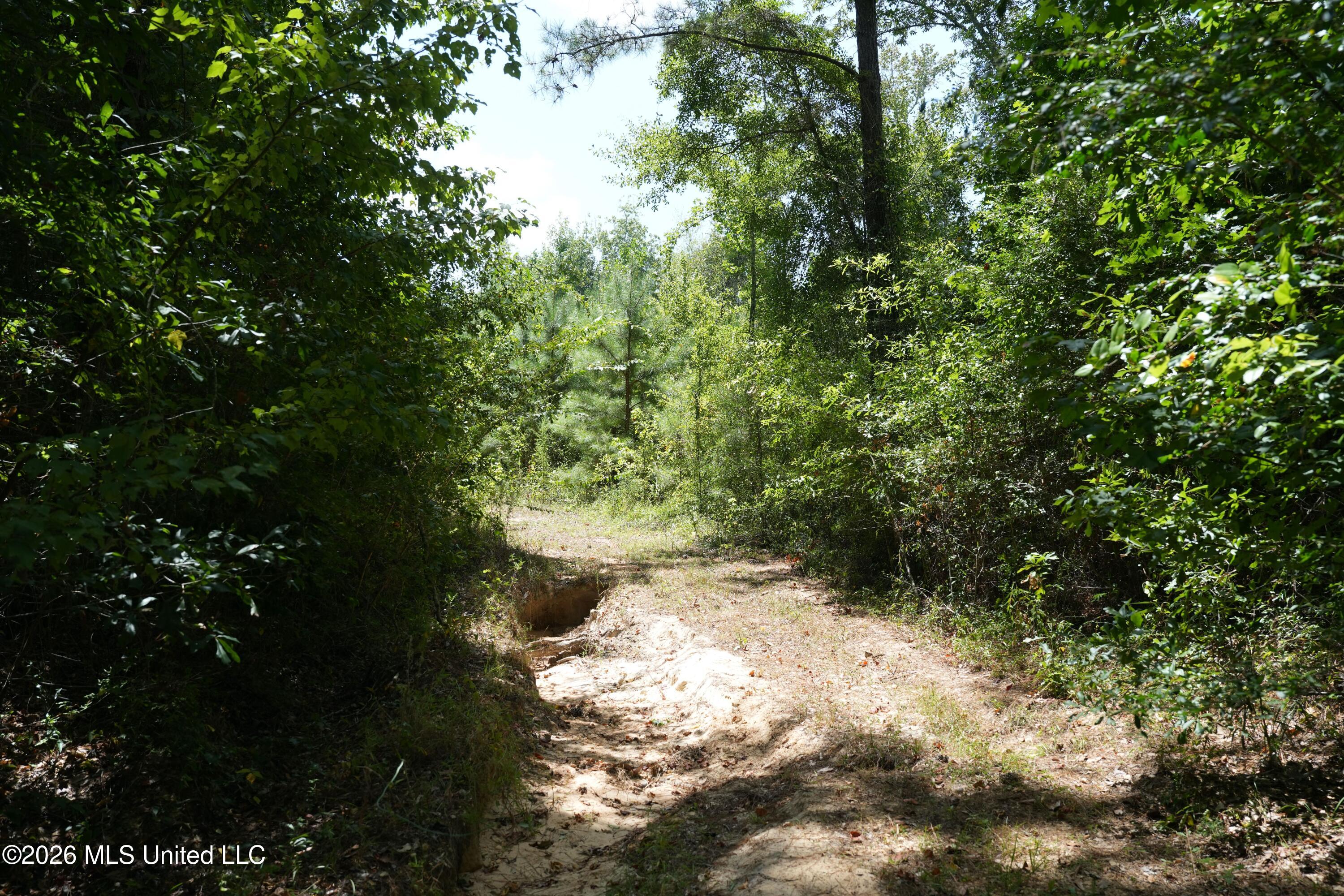 Joe Booth Road Property Photo 15
