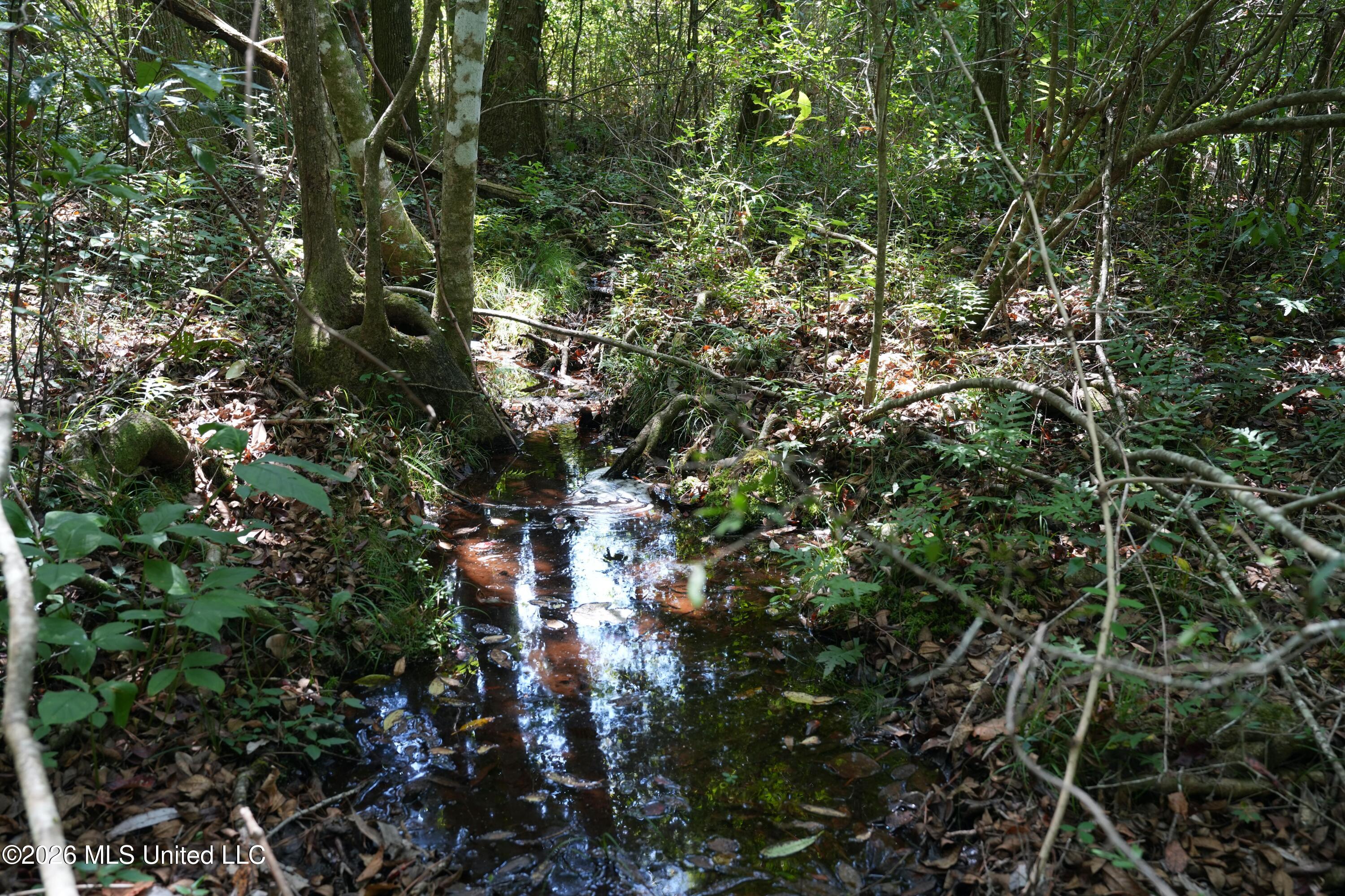 Joe Booth Road Property Photo 16