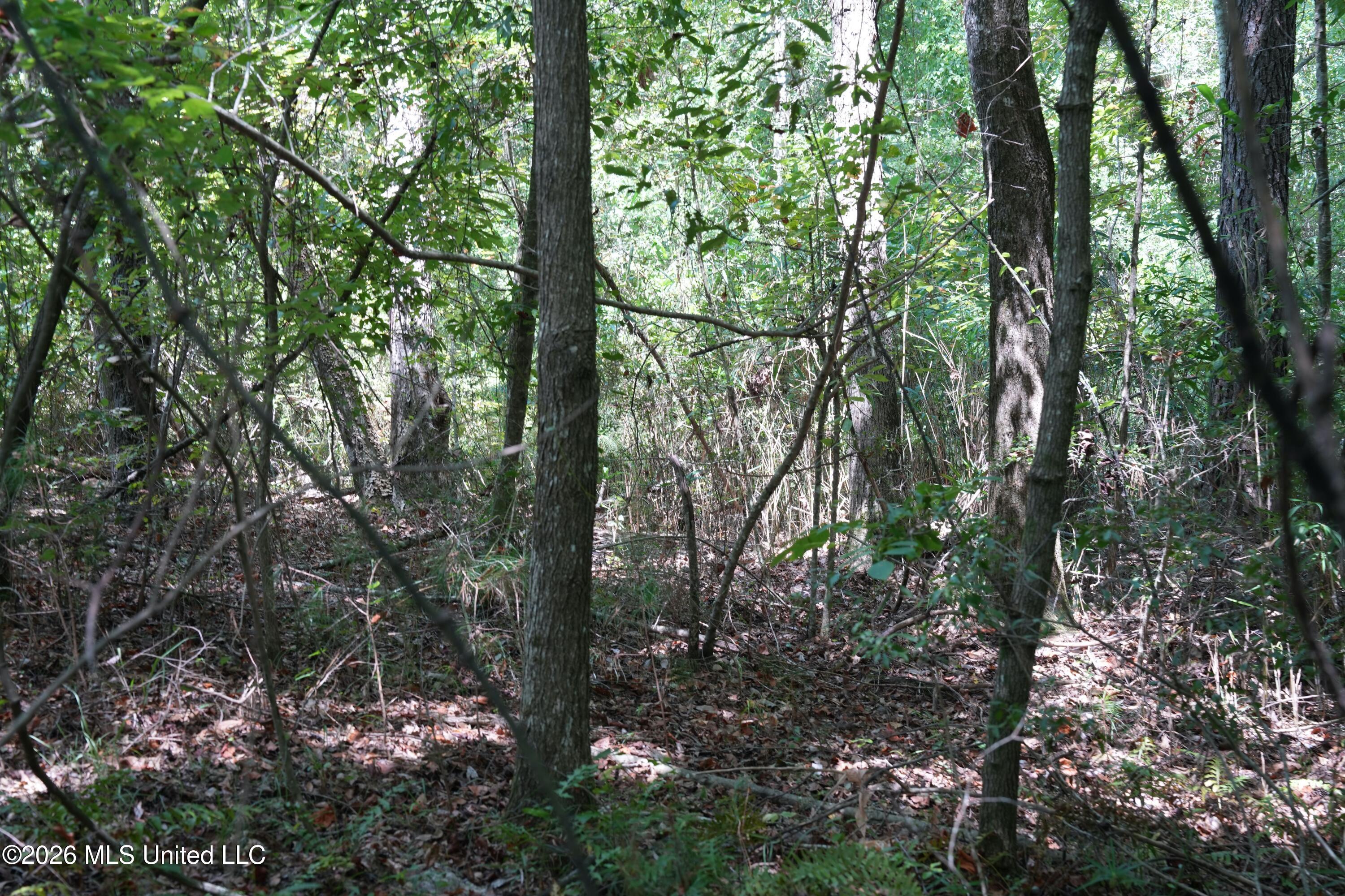 Joe Booth Road Property Photo 17