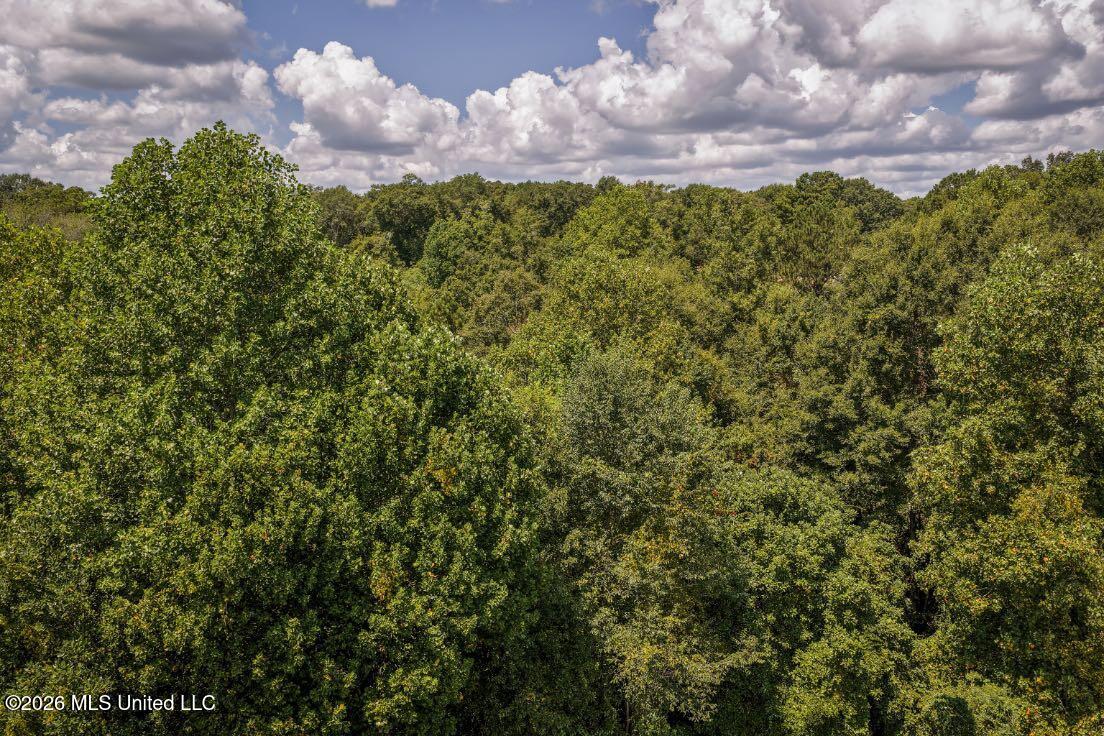 Joe Booth Road Property Photo 25