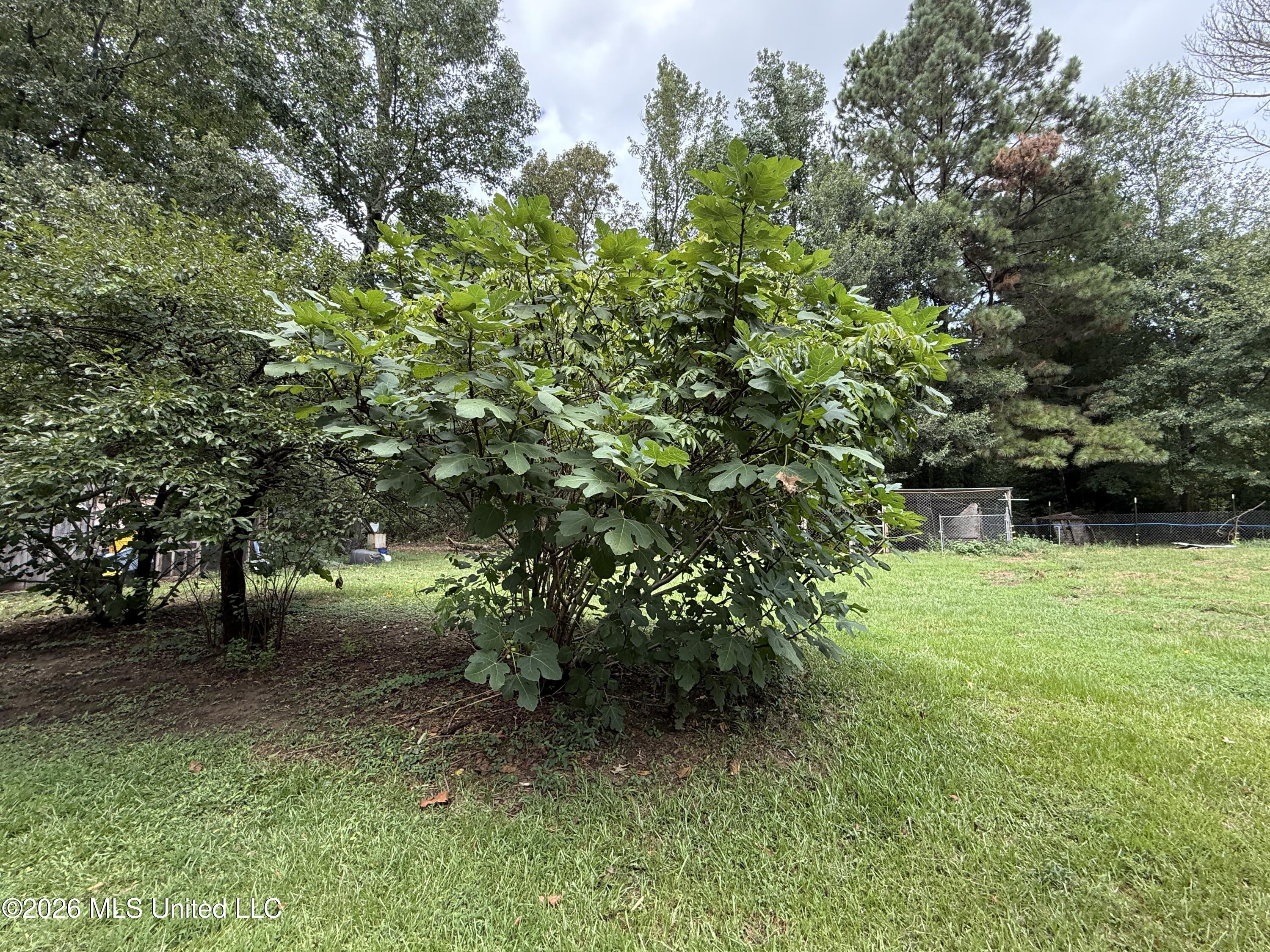411 Drysdale Road Property Photo 29