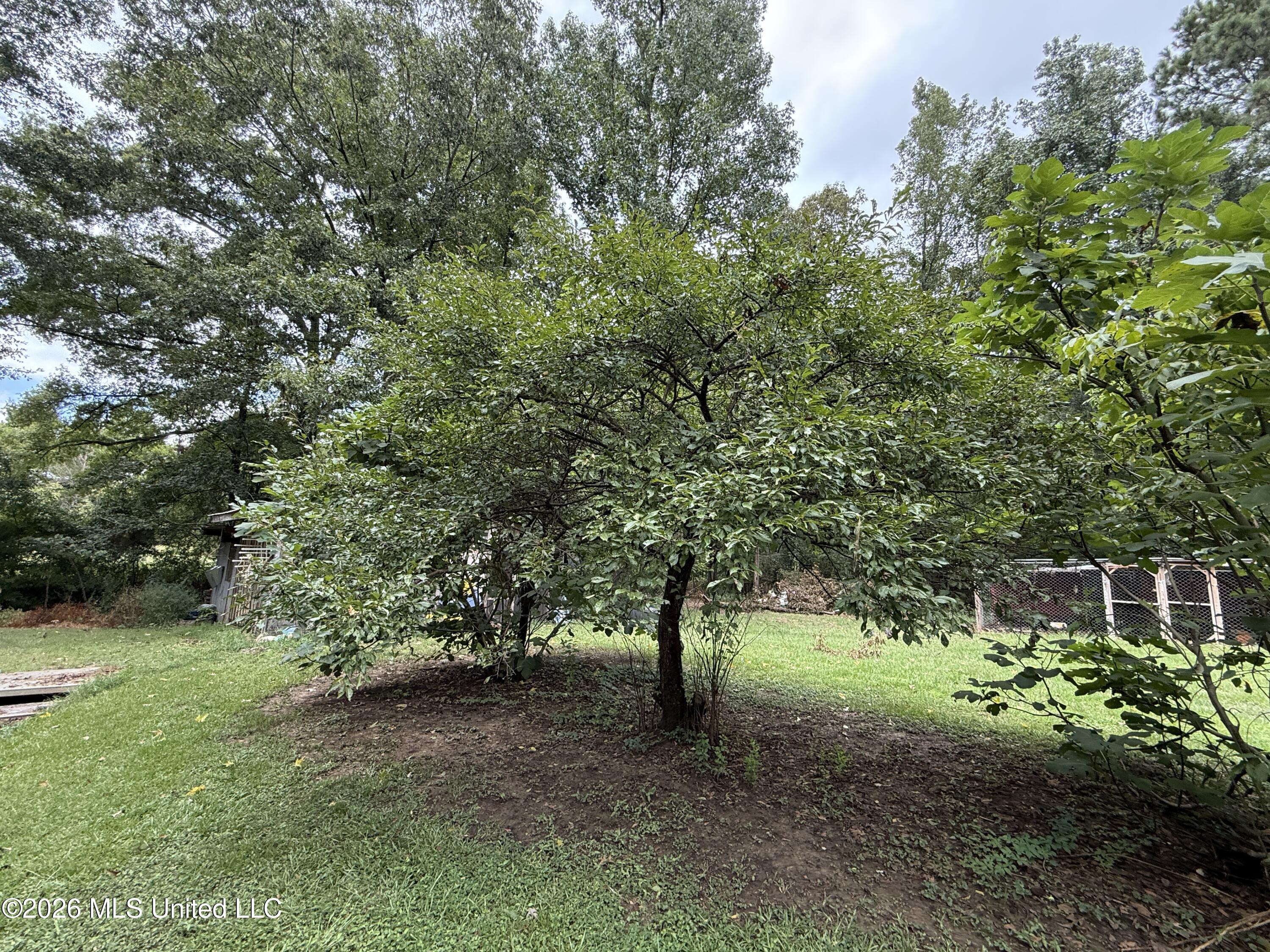 411 Drysdale Road Property Photo 30