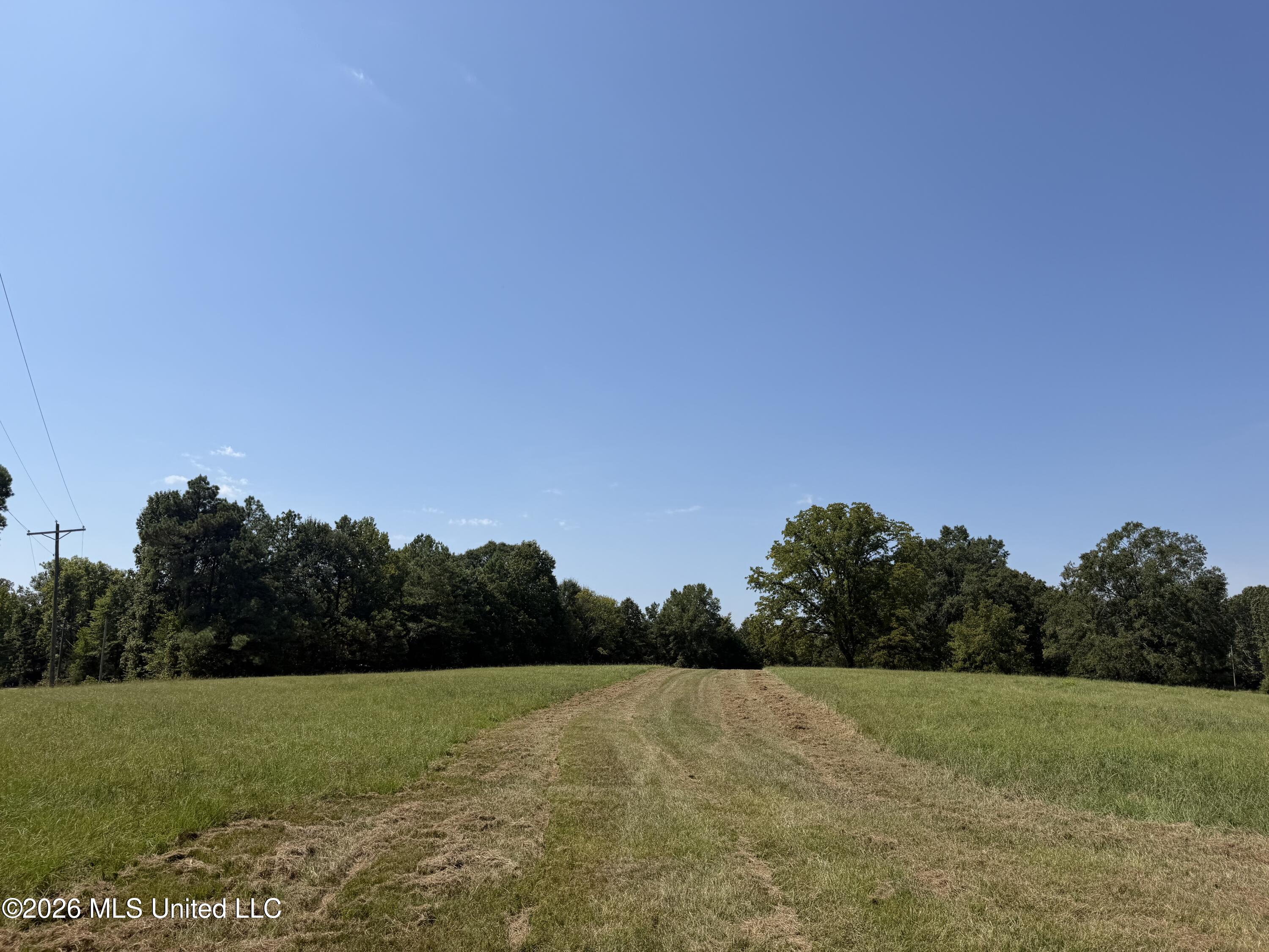 390 Springfield Road Property Photo 2
