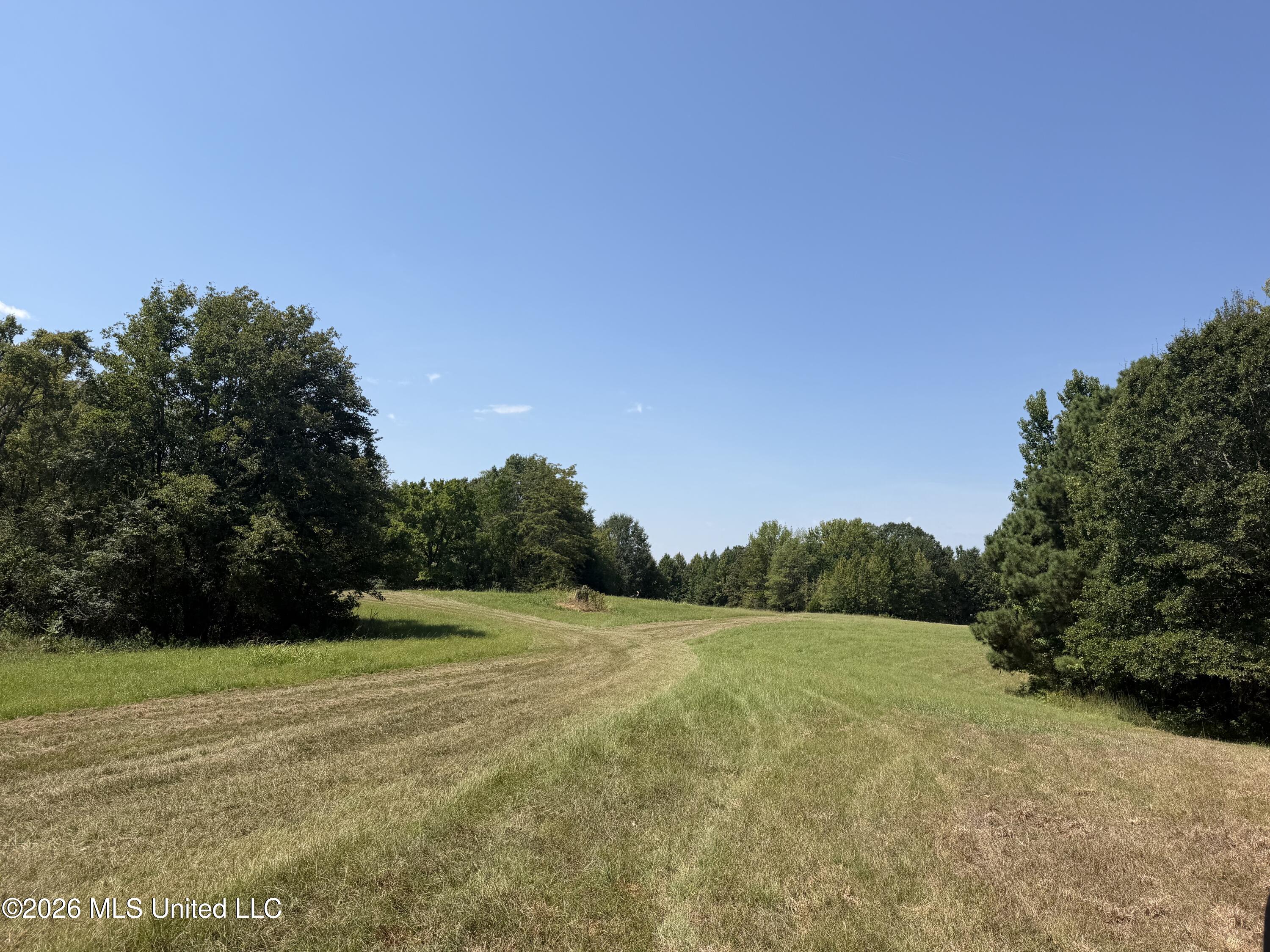 390 Springfield Road Property Photo 3