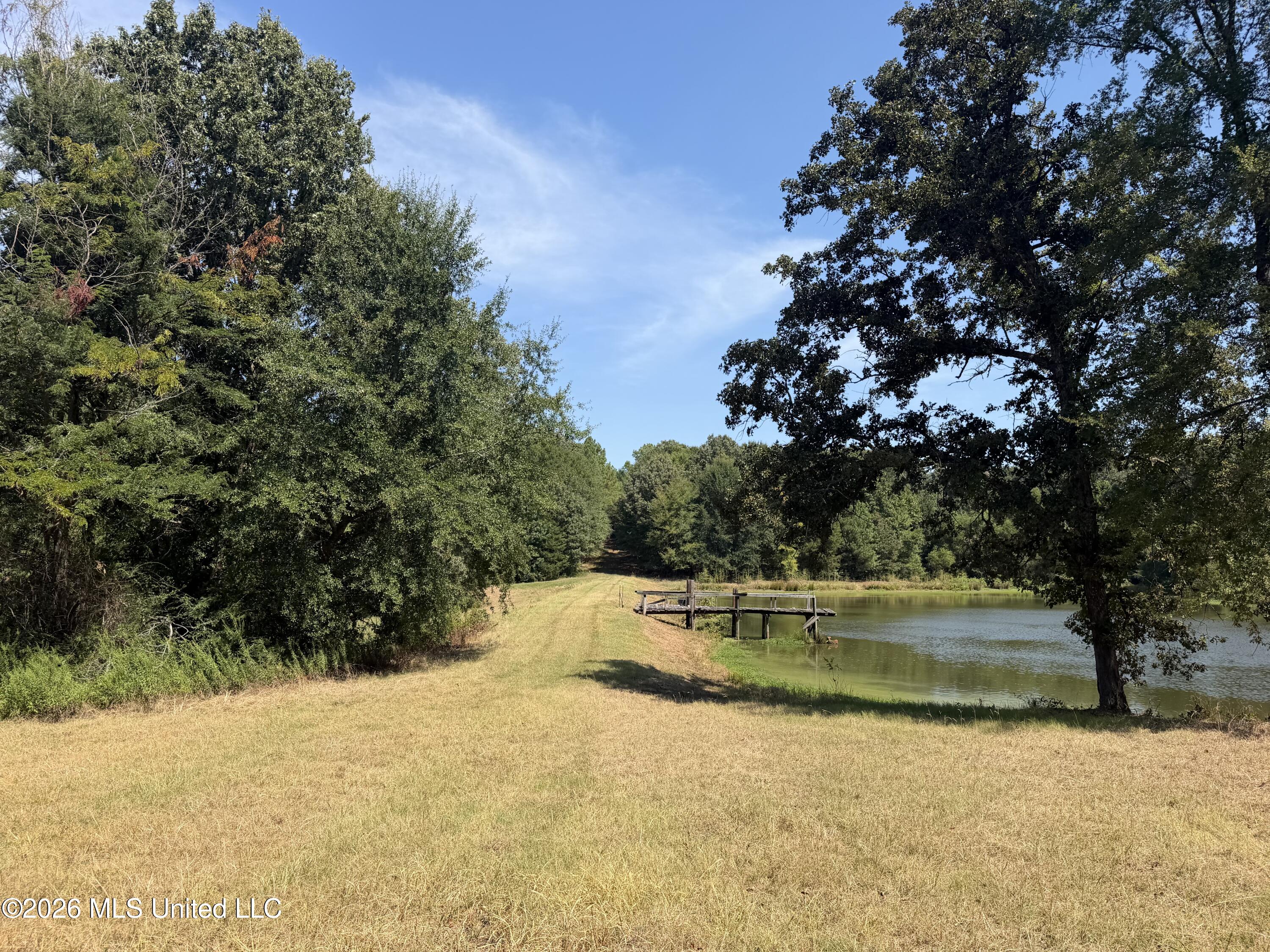390 Springfield Road Property Photo 5