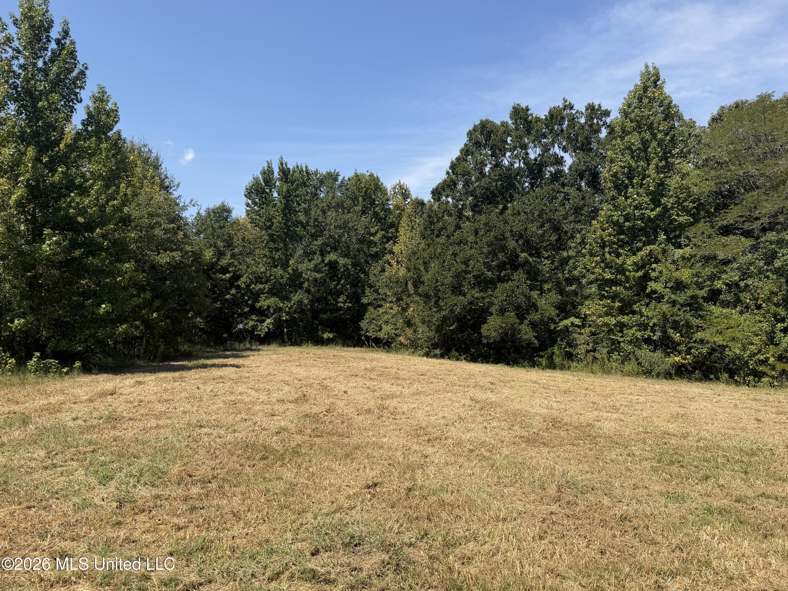390 Springfield Road Property Photo 7
