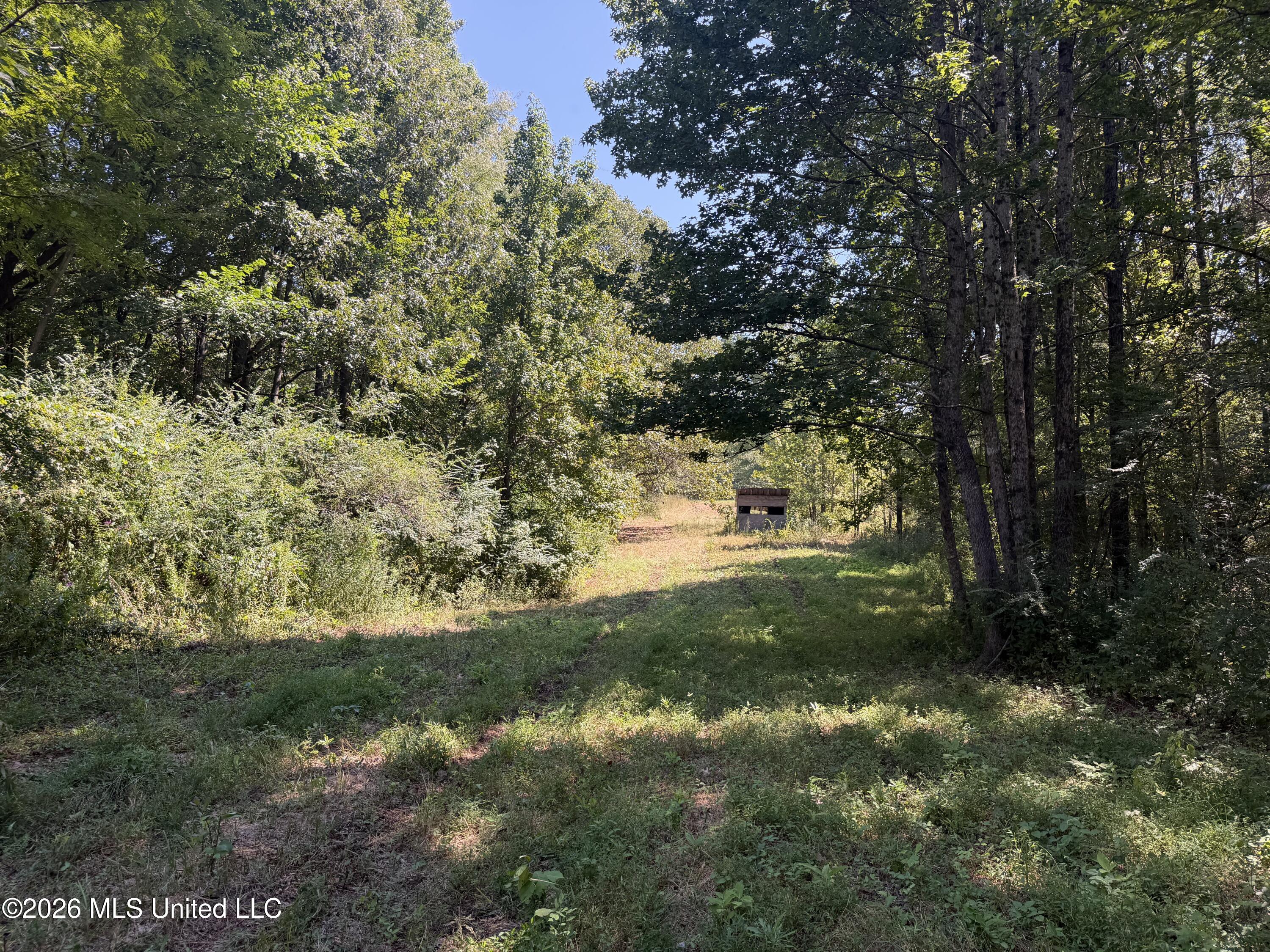 390 Springfield Road Property Photo 8