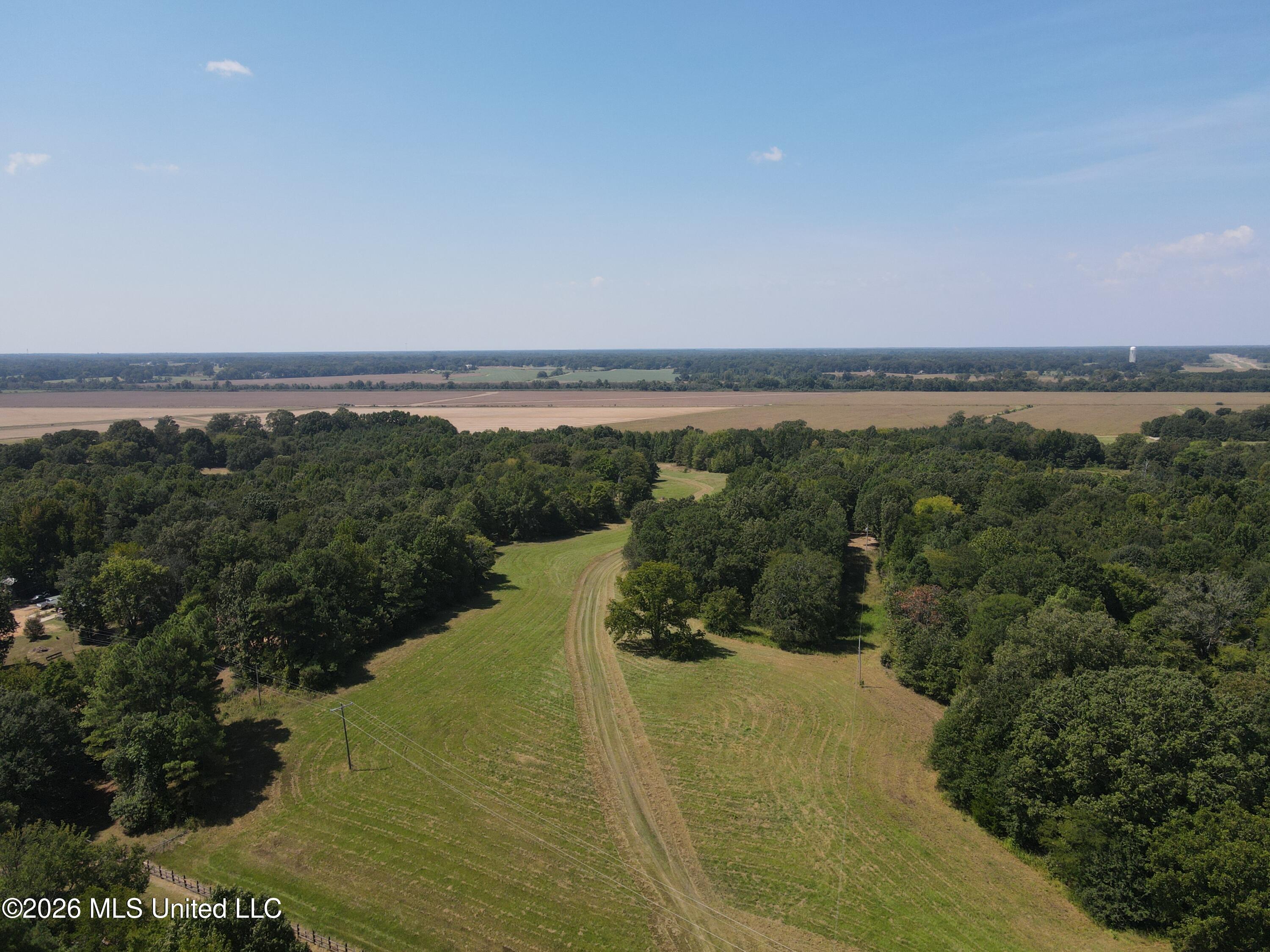 390 Springfield Road Property Photo 10