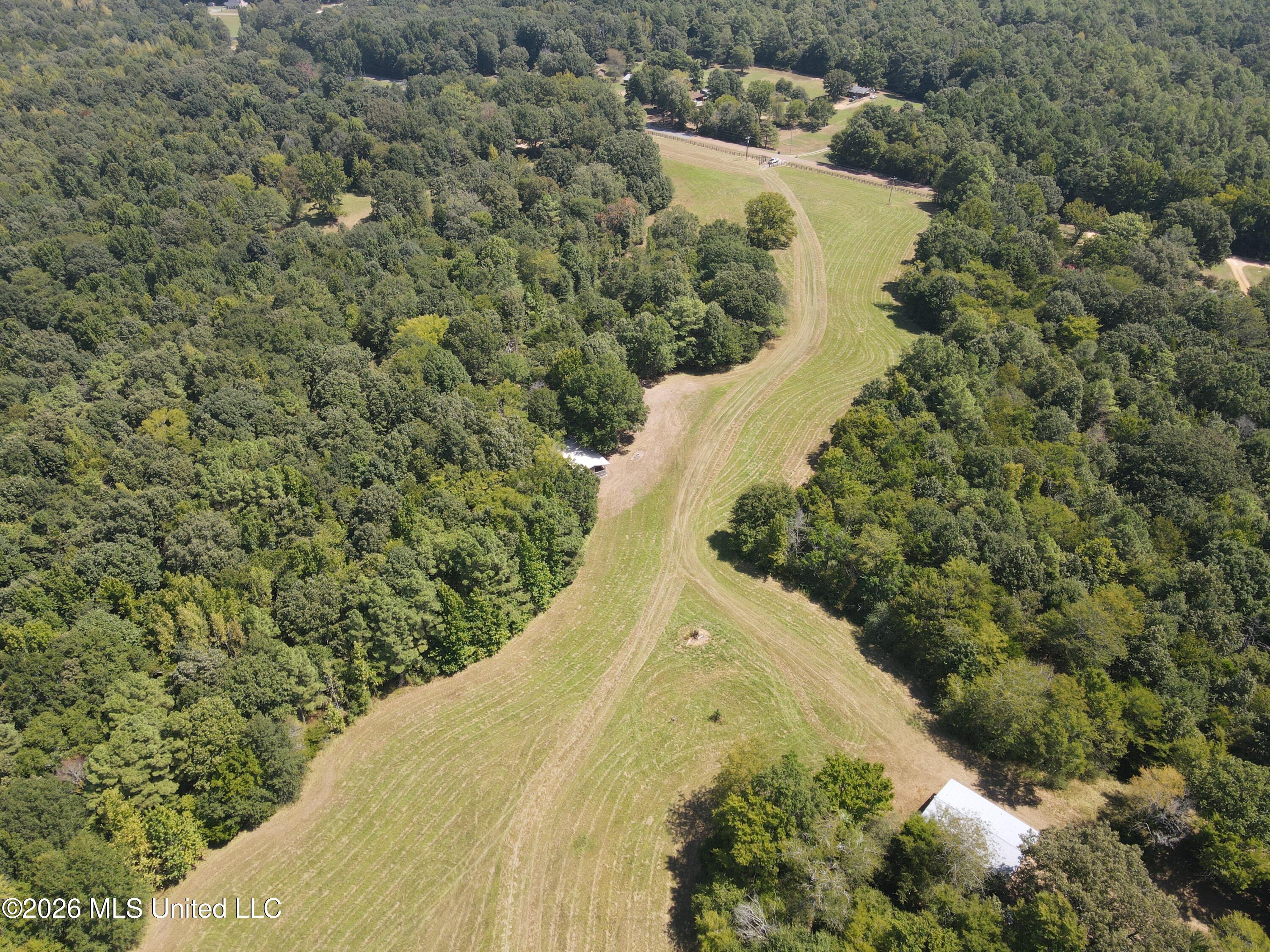 390 Springfield Road Property Photo 12