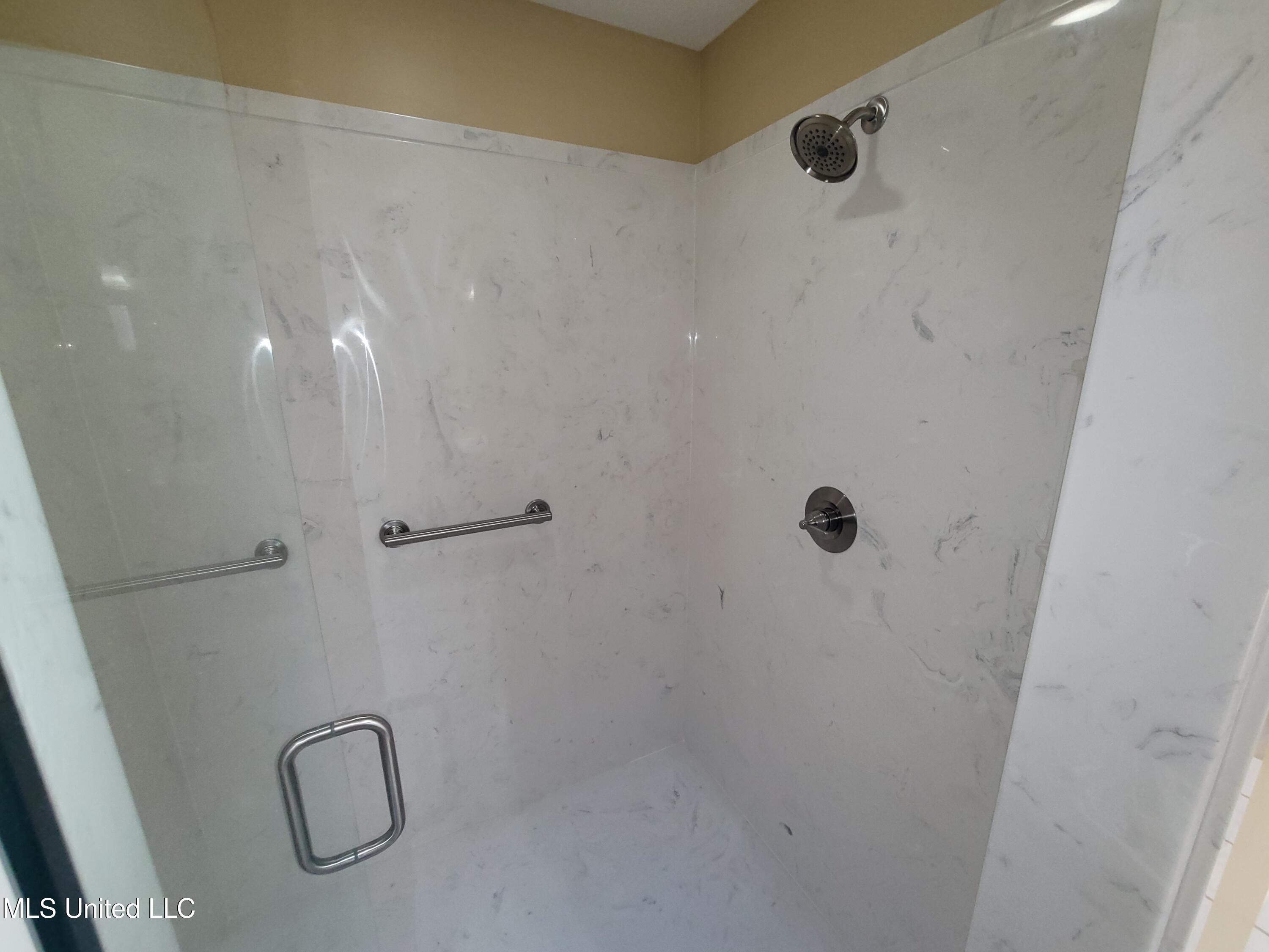 13165 Coldwater Drive Property Photo 21