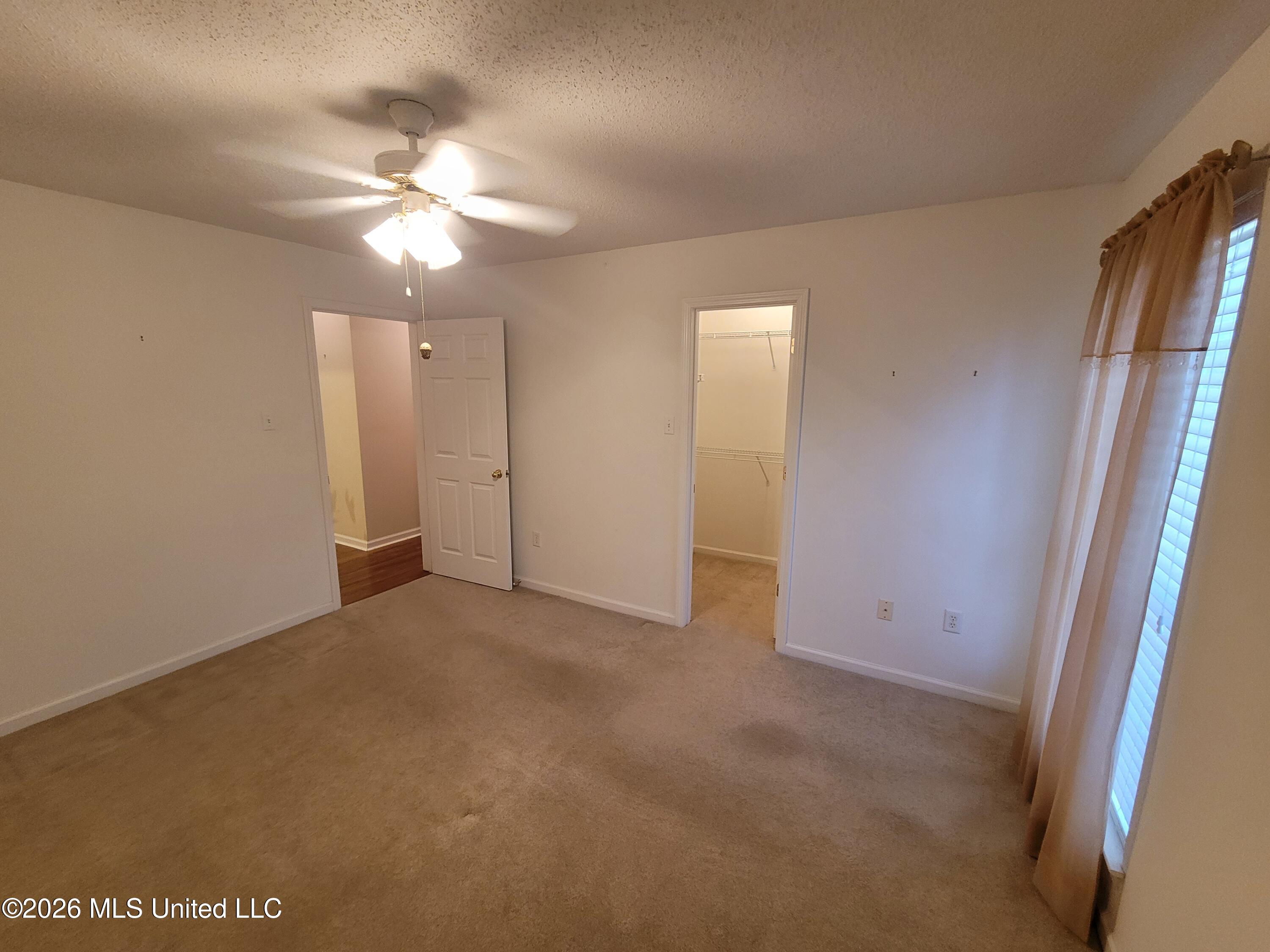 13165 Coldwater Drive Property Photo 23