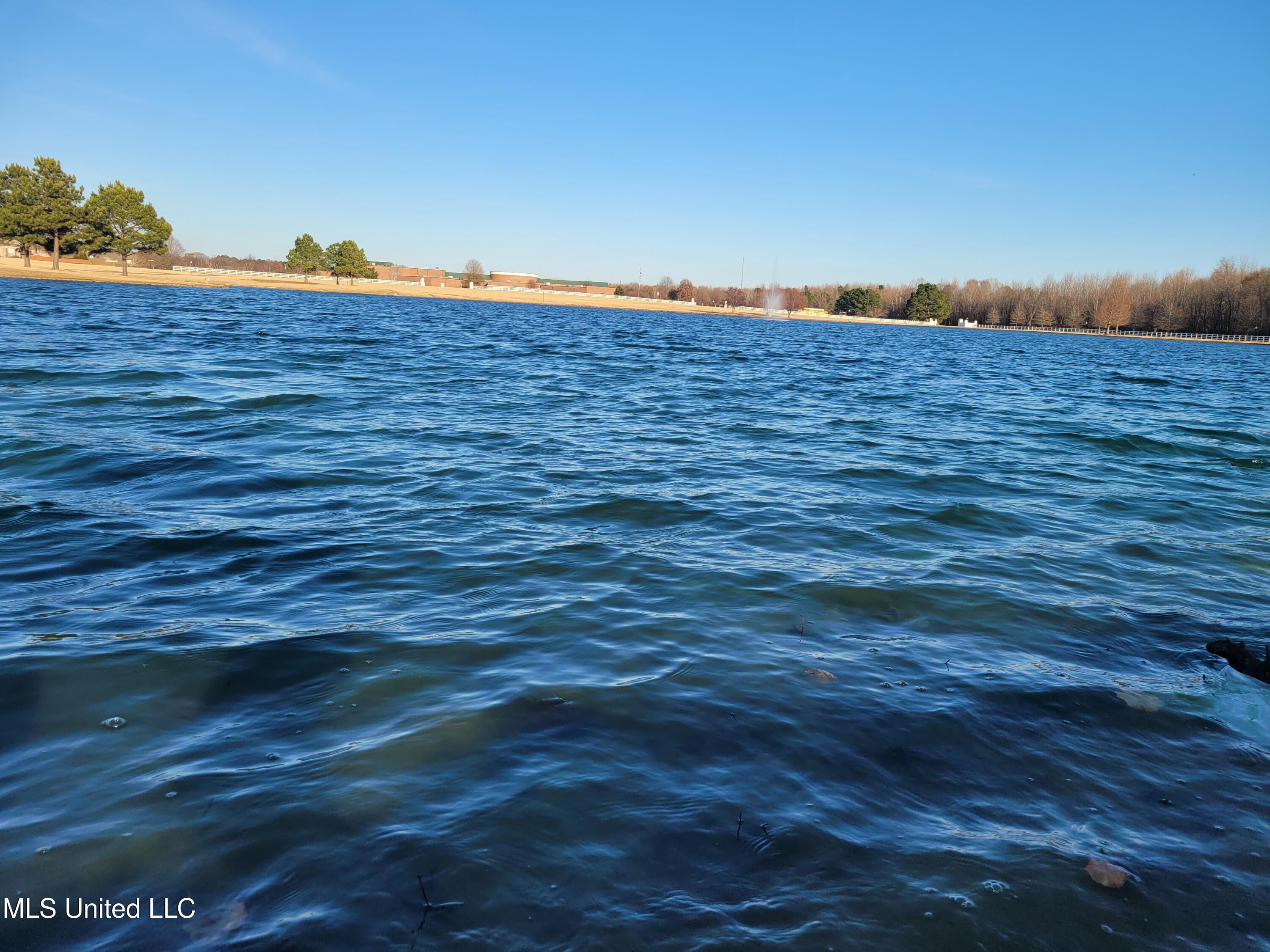 13165 Coldwater Drive Property Photo 61