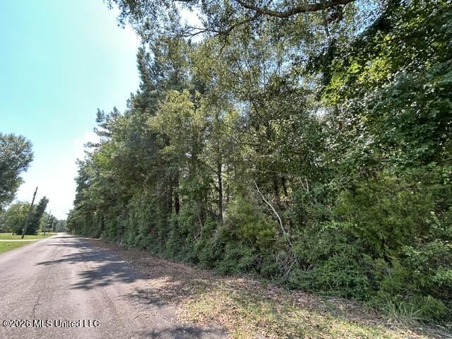 Carter Lane Property Photo 4
