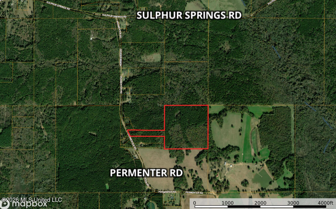 Permenter Road Property Photo 2