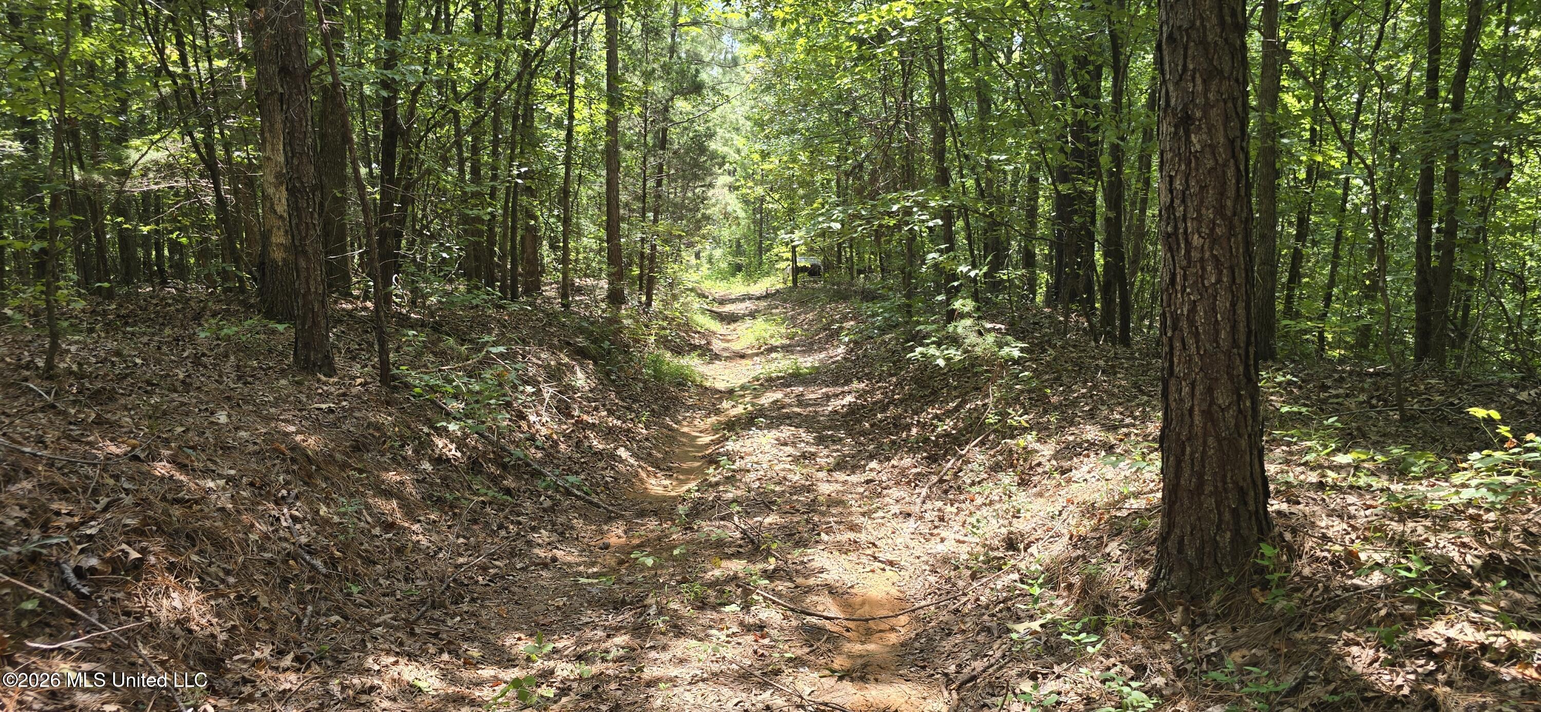 4190 Tuscumbia Road