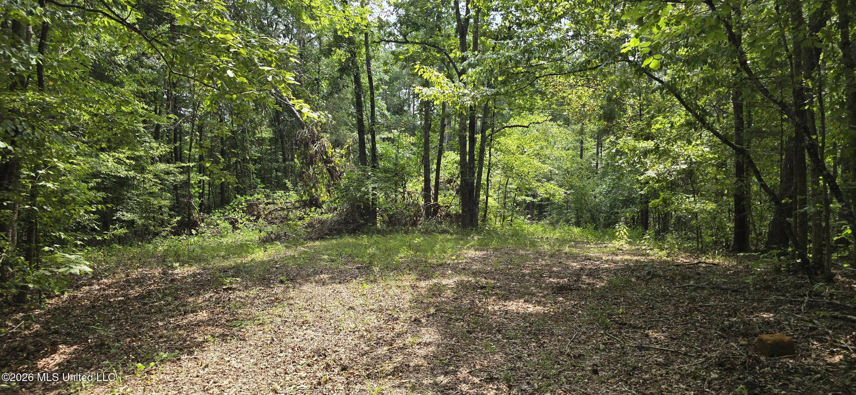 4190 Tuscumbia Road Property Photo 2