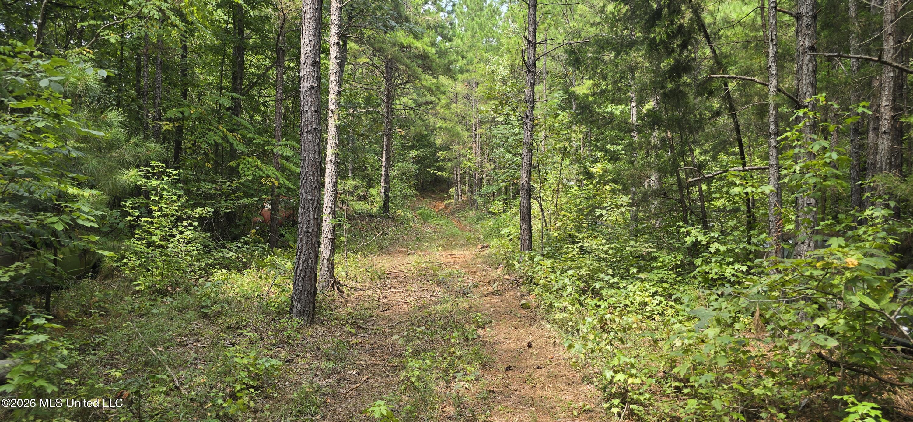 4190 Tuscumbia Road Property Photo 8