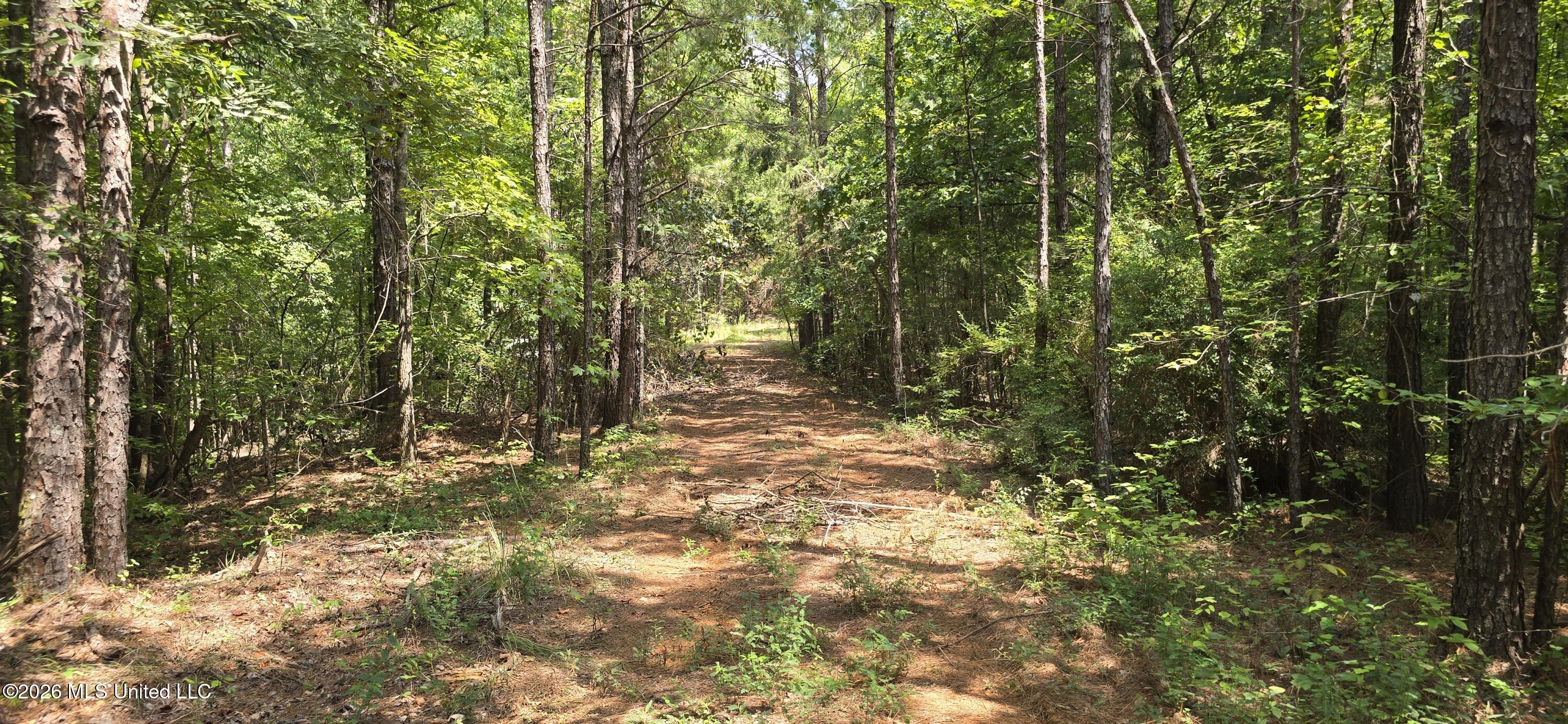 4190 Tuscumbia Road Property Photo 10