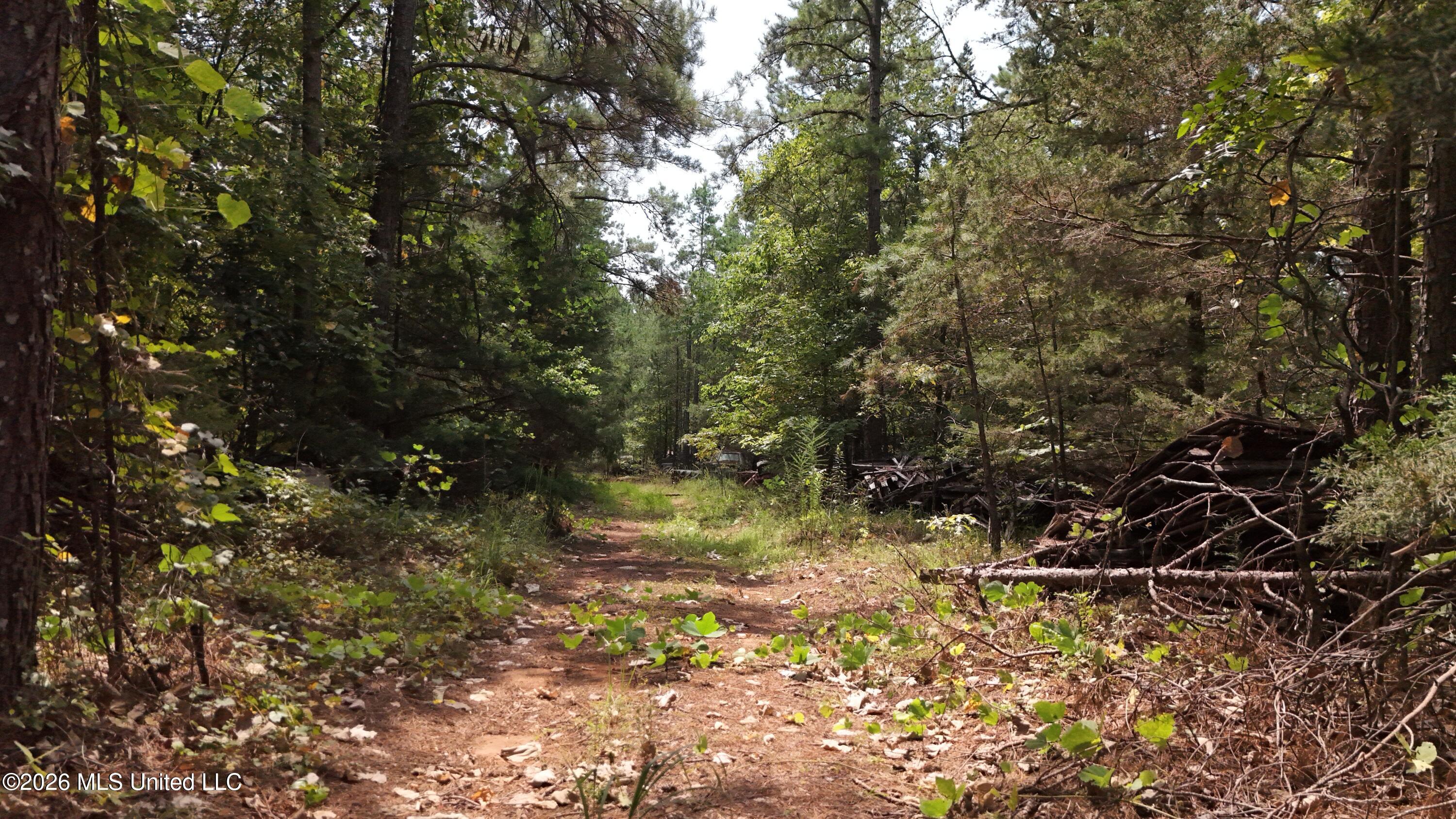 4190 Tuscumbia Road Property Photo 11